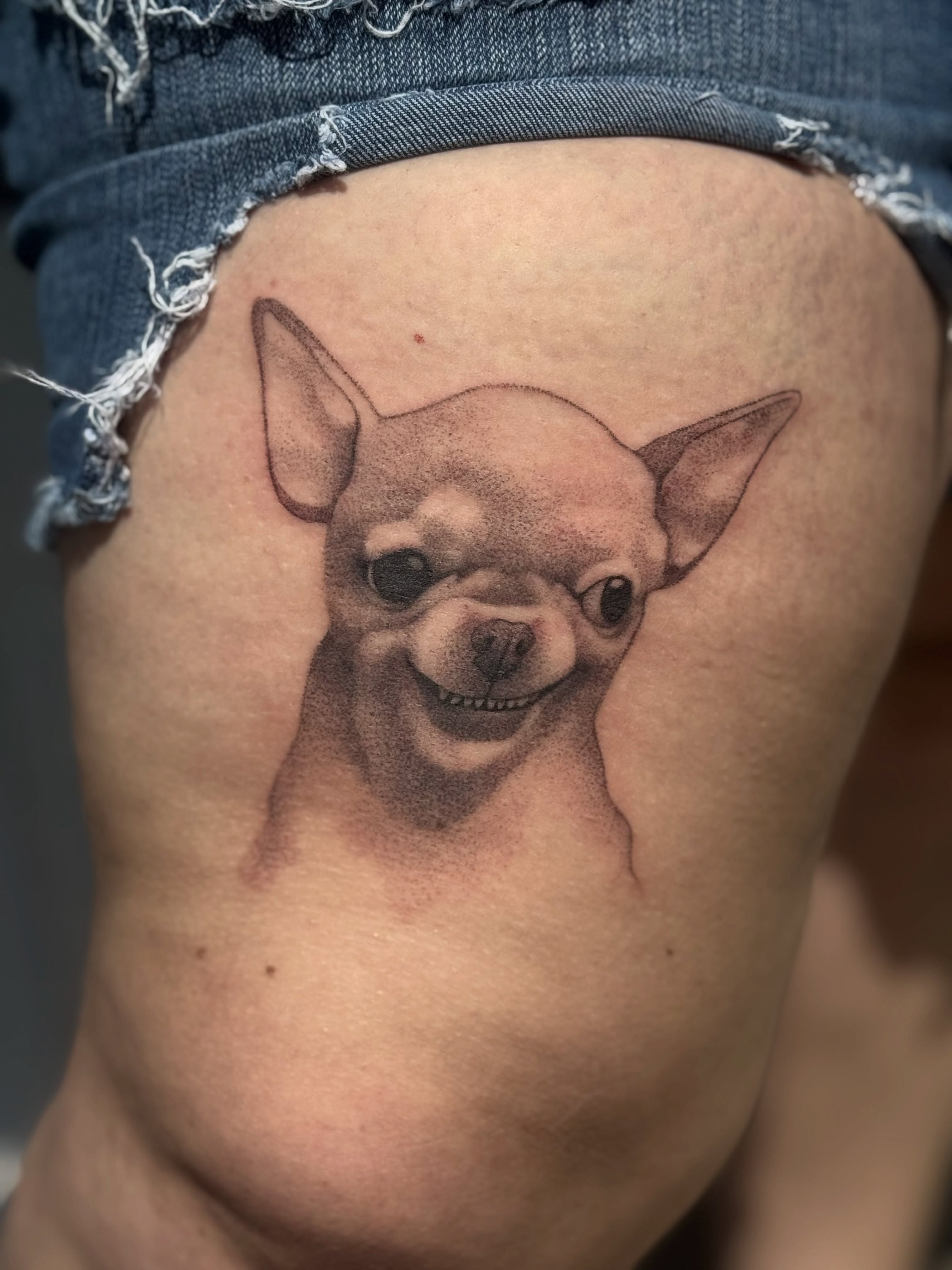 Chihuahua realism tattoo on the thigh by Leti