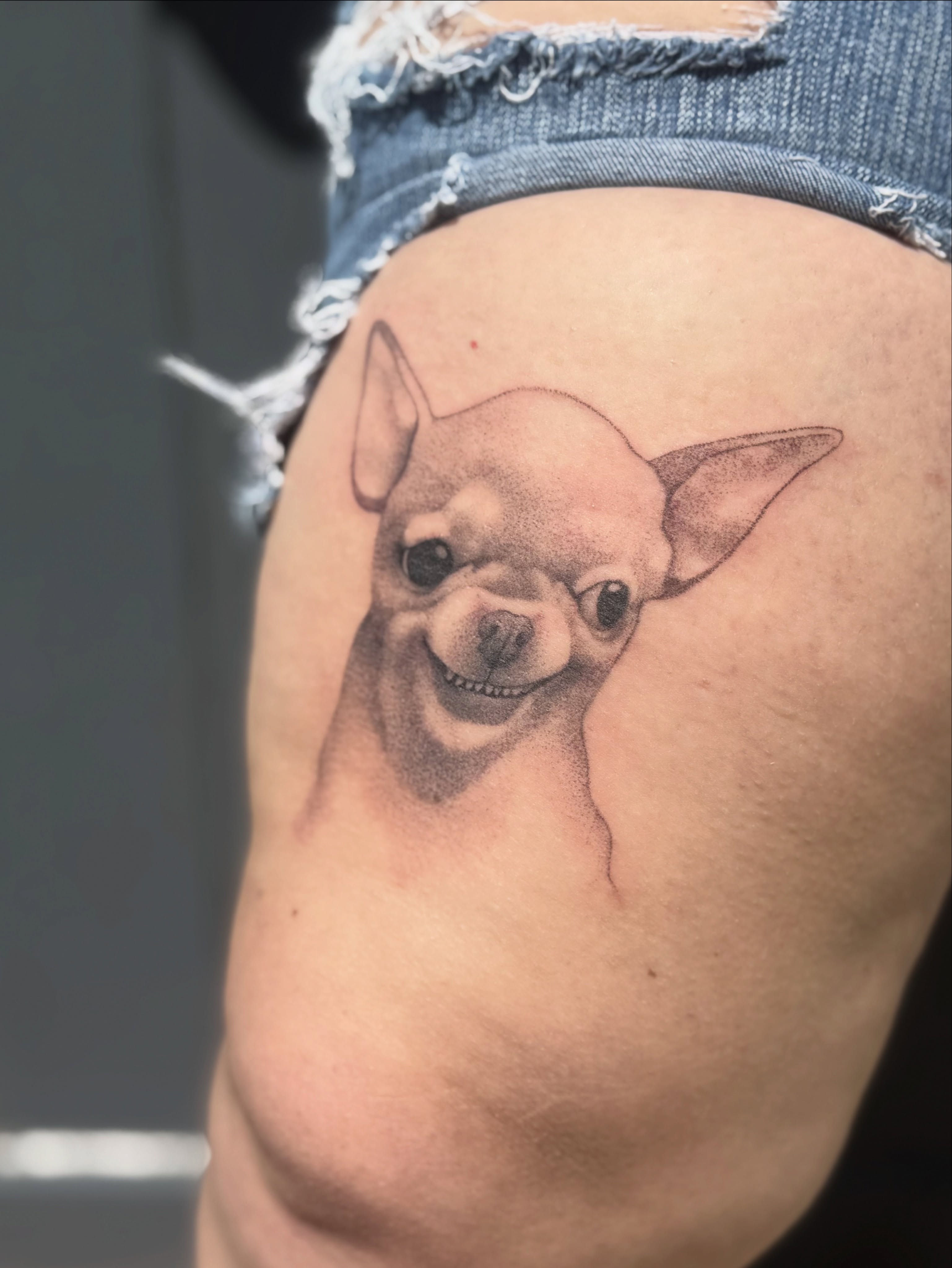 Chihuahua dotwork tattoo on the thigh by Leti