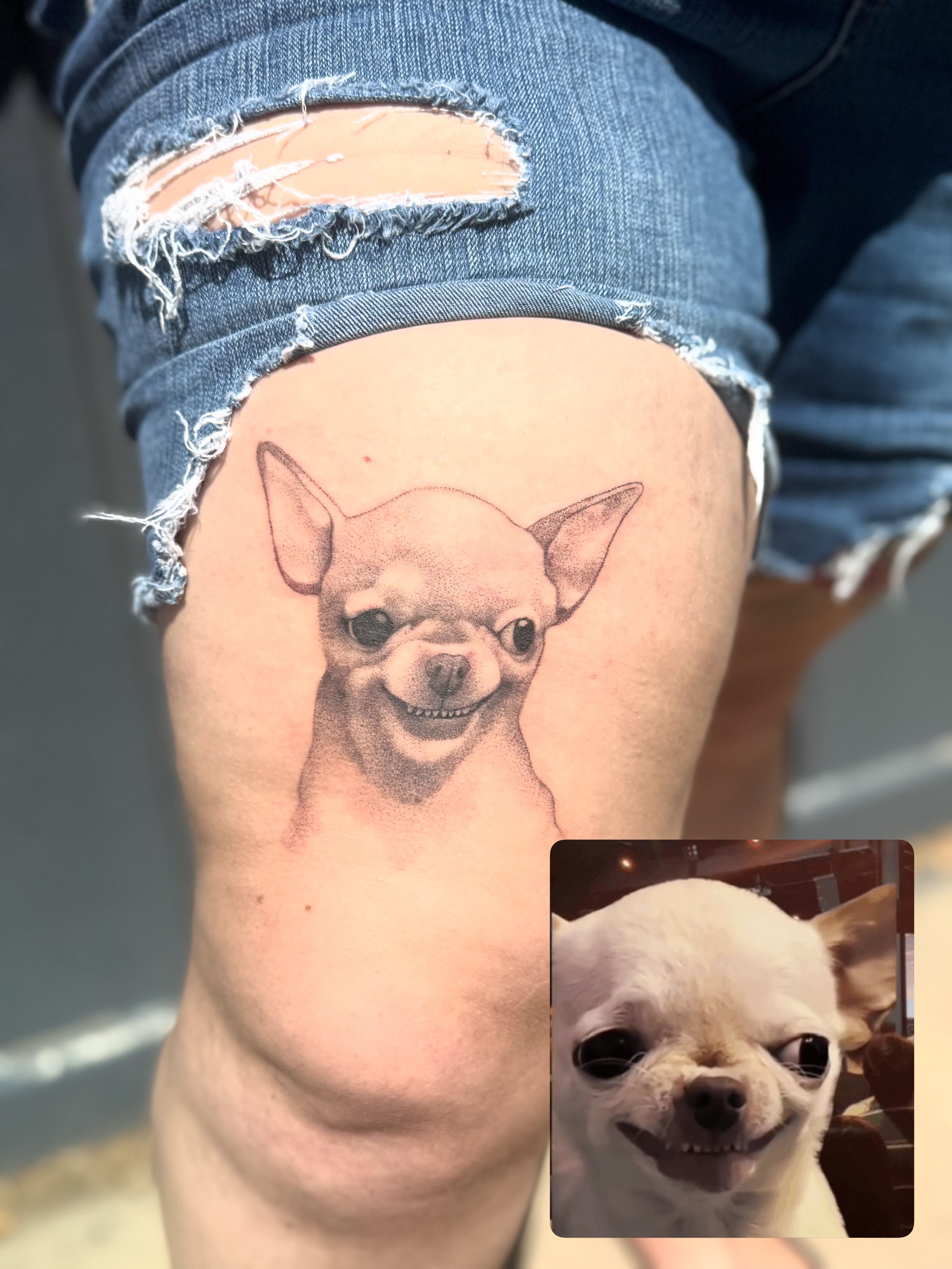 Chihuahua dotwork tattoo on the thigh by Leti