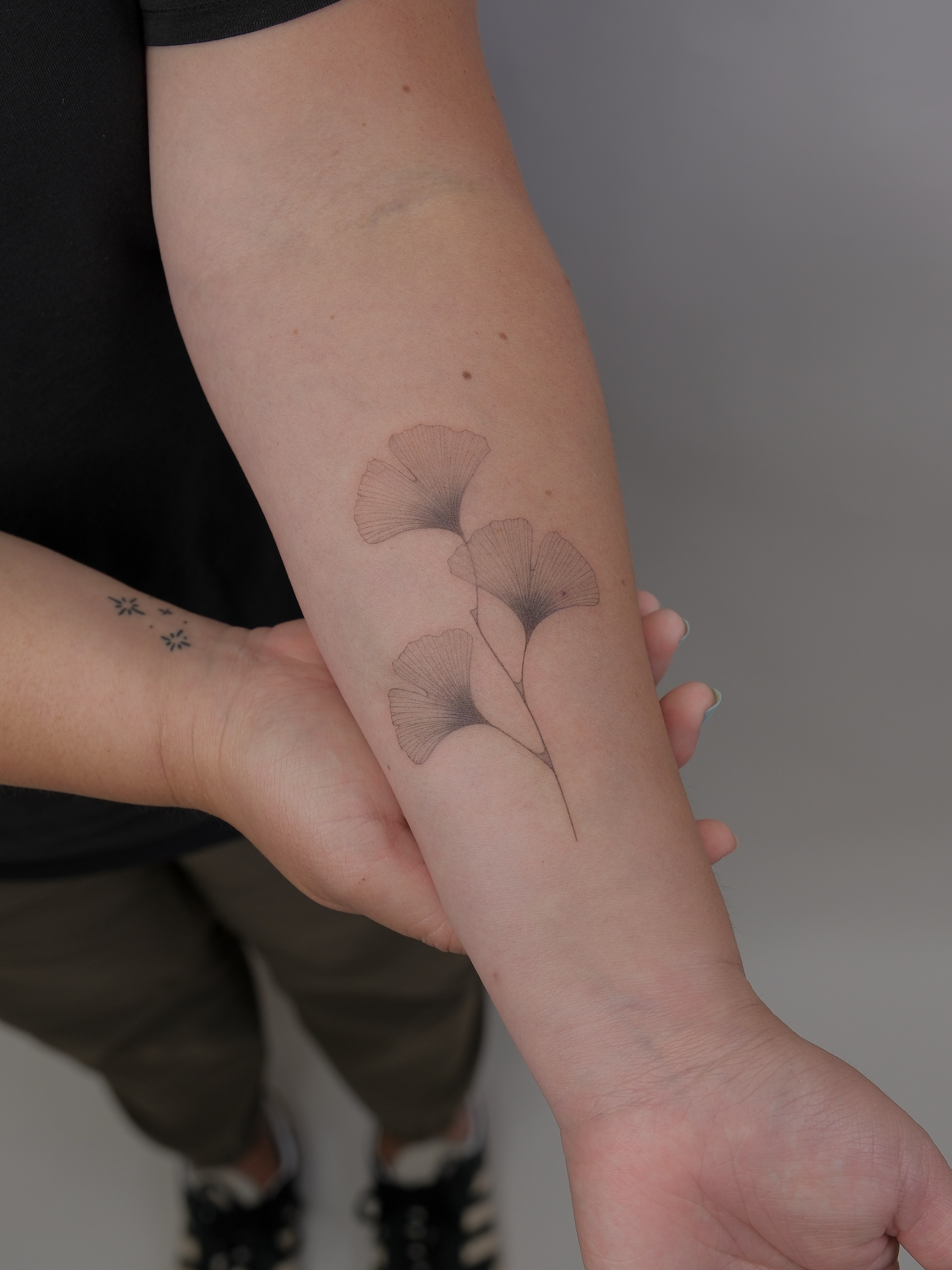 Gingko leaves black and grey tattoo on the forearm by Tattoo in Charlotte NC, Charlotte, North Carolina