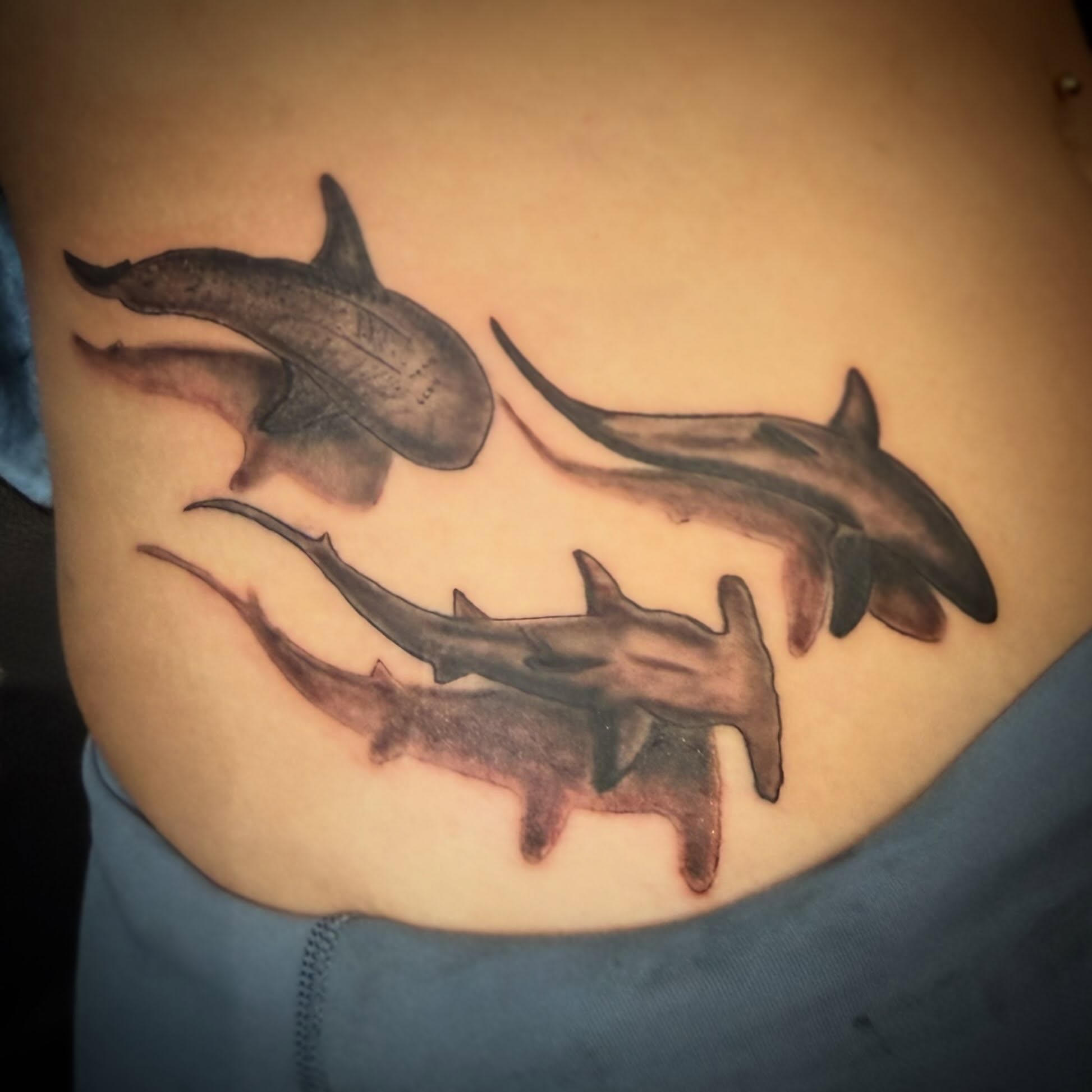 Shark black and grey tattoo on the ribs by Darby Antonucci
