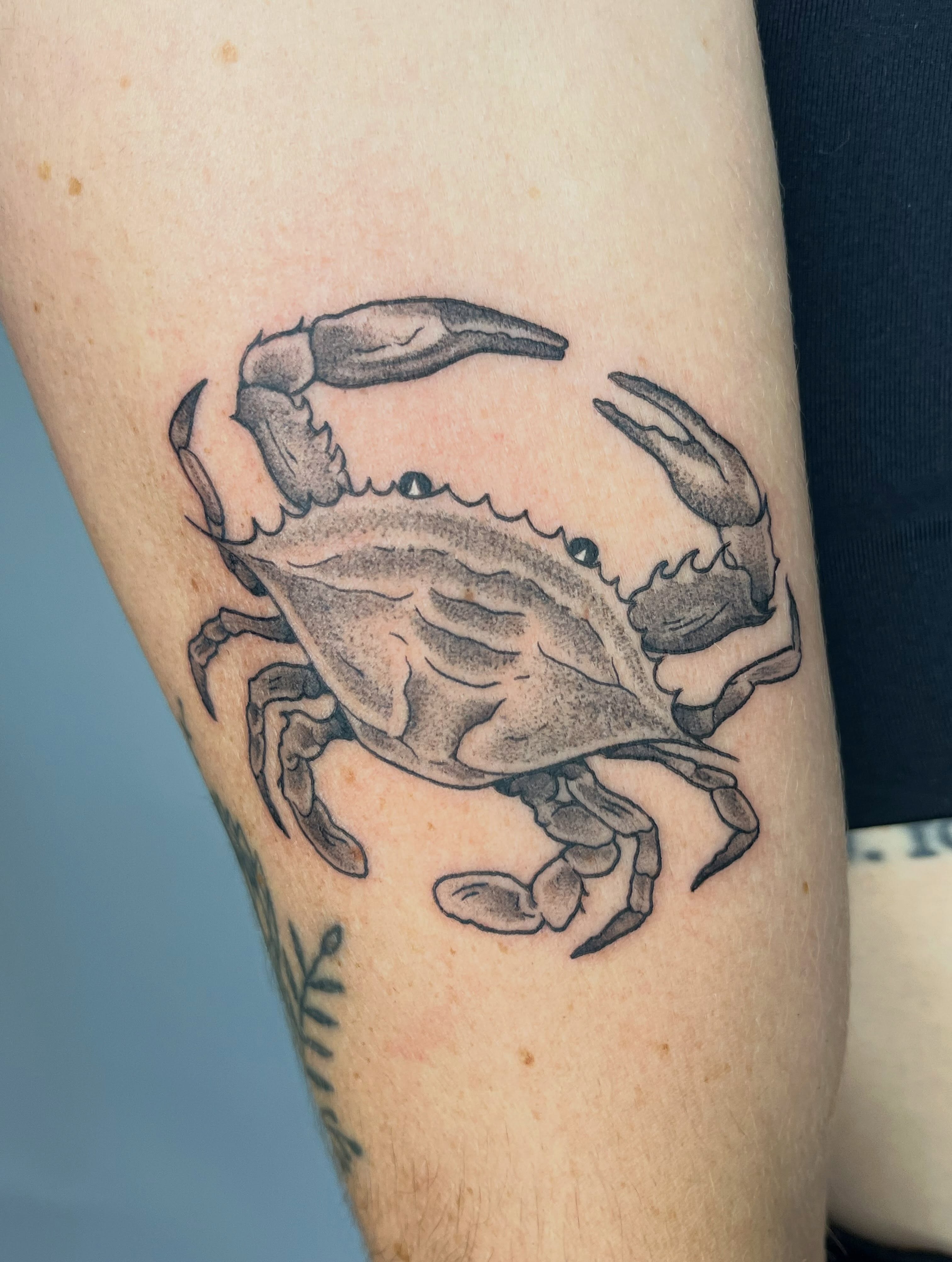 Tattoo by @soupbody — black_and_grey