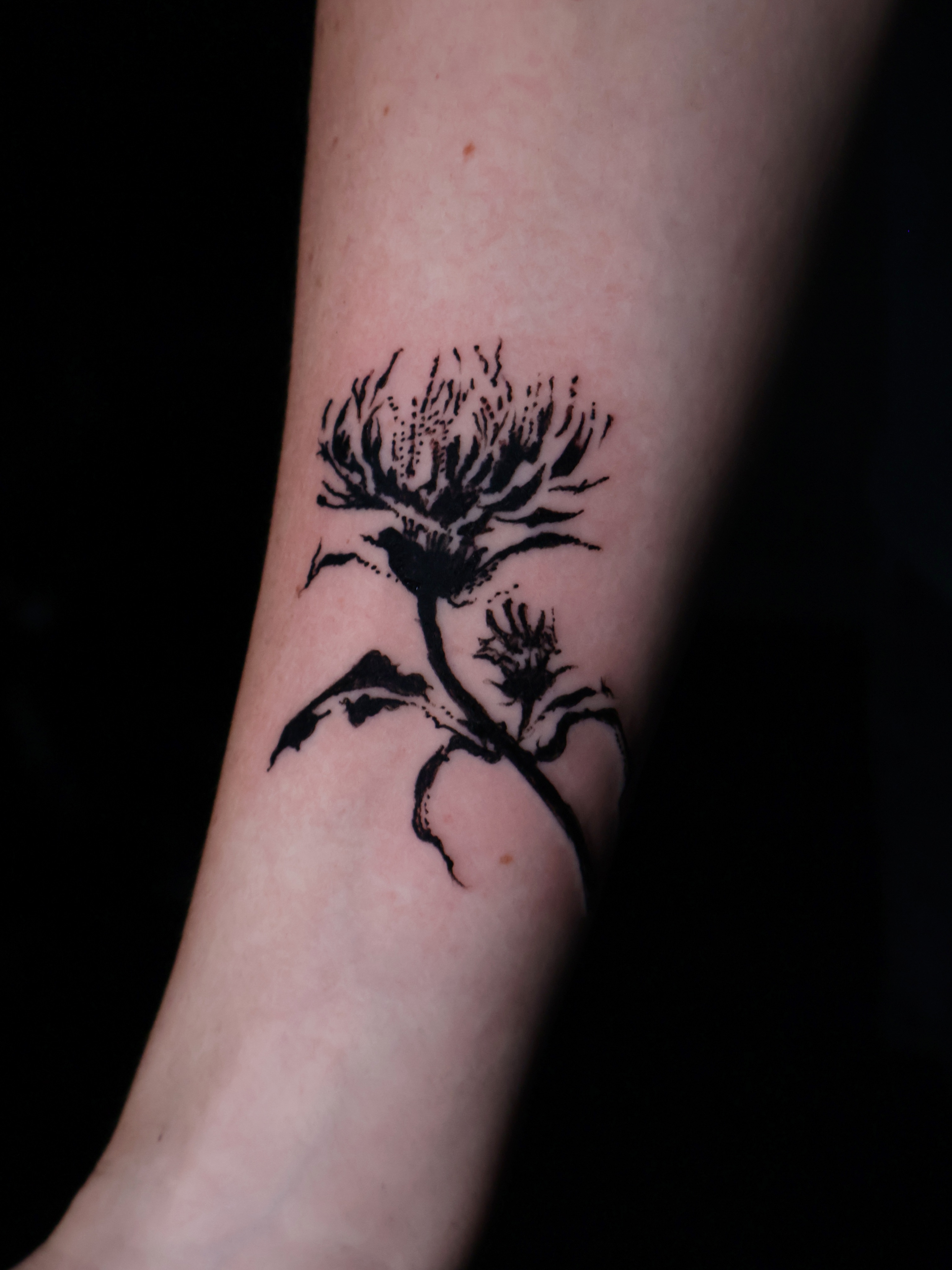 Thistle black and grey tattoo on the forearm by Denis Du Preez, East Williamsburg, Brooklyn