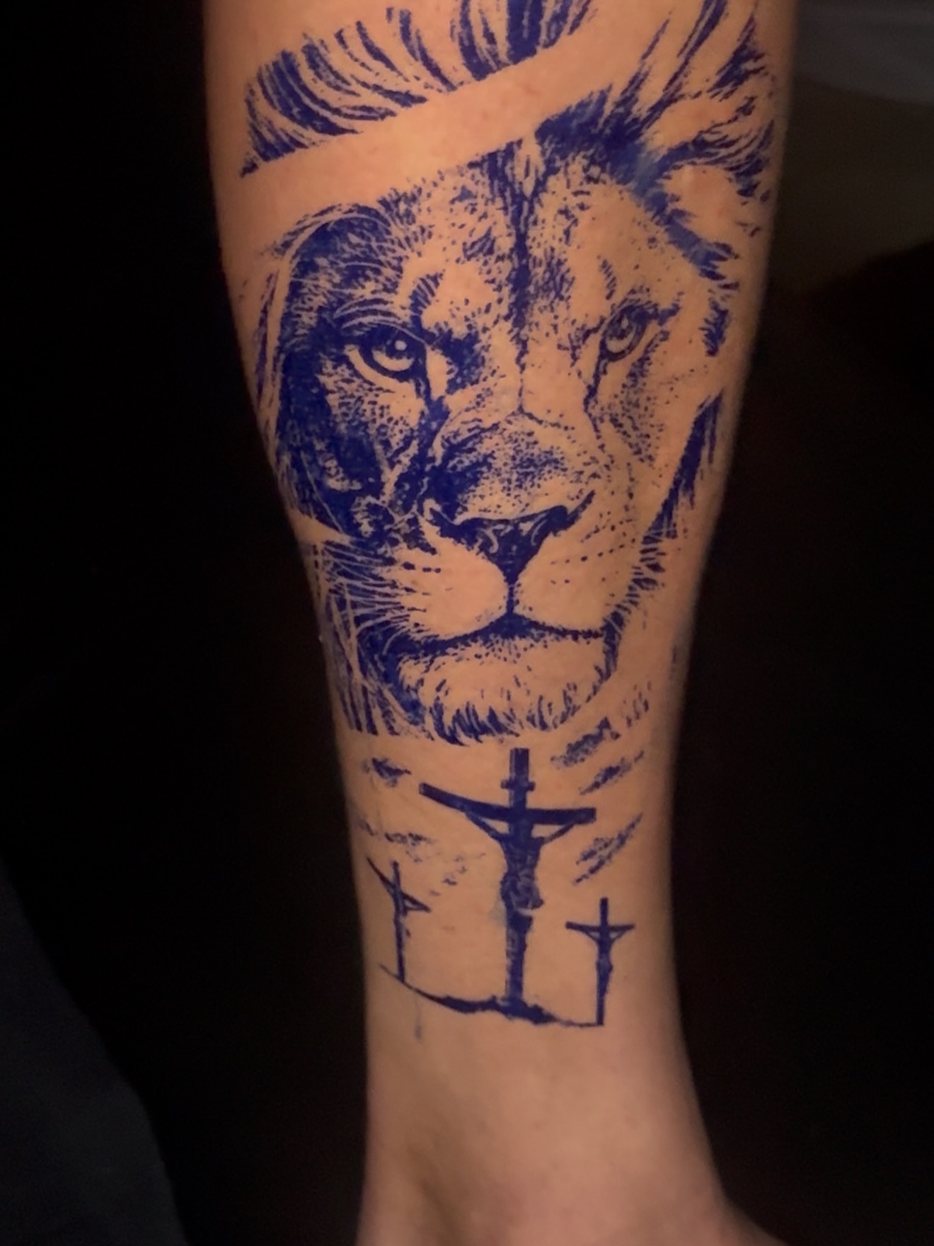 Lion dotwork tattoo on the forearm by Aldocasales@tatto