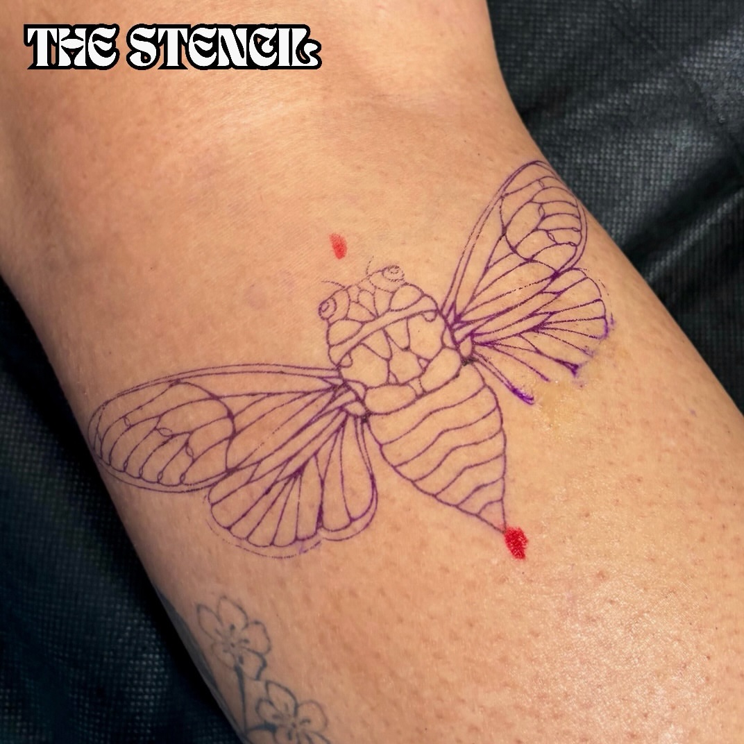 Cicada fine line tattoo on the forearm by Victoria Lamorte