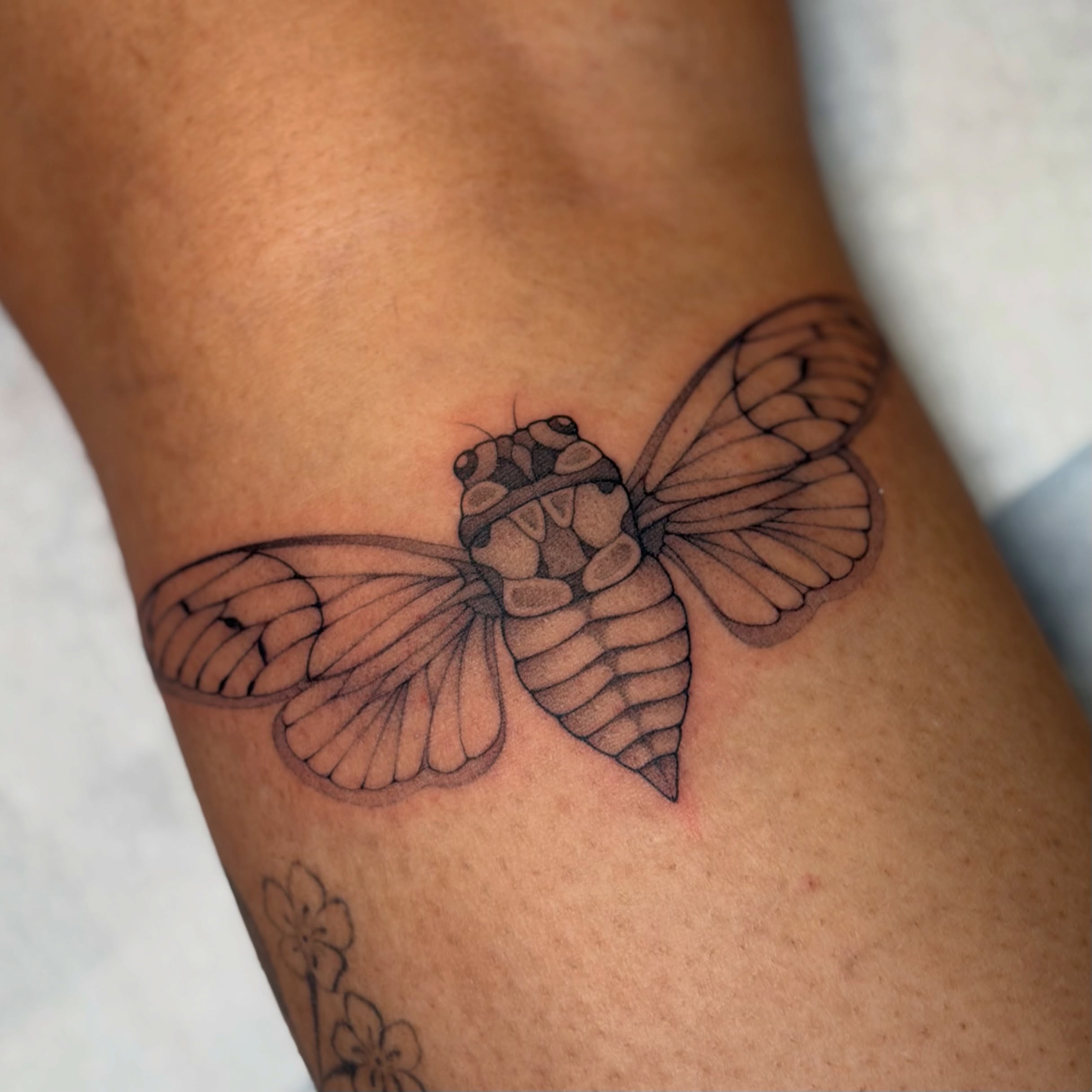 Cicada black and grey tattoo on the thigh by Victoria Lamorte