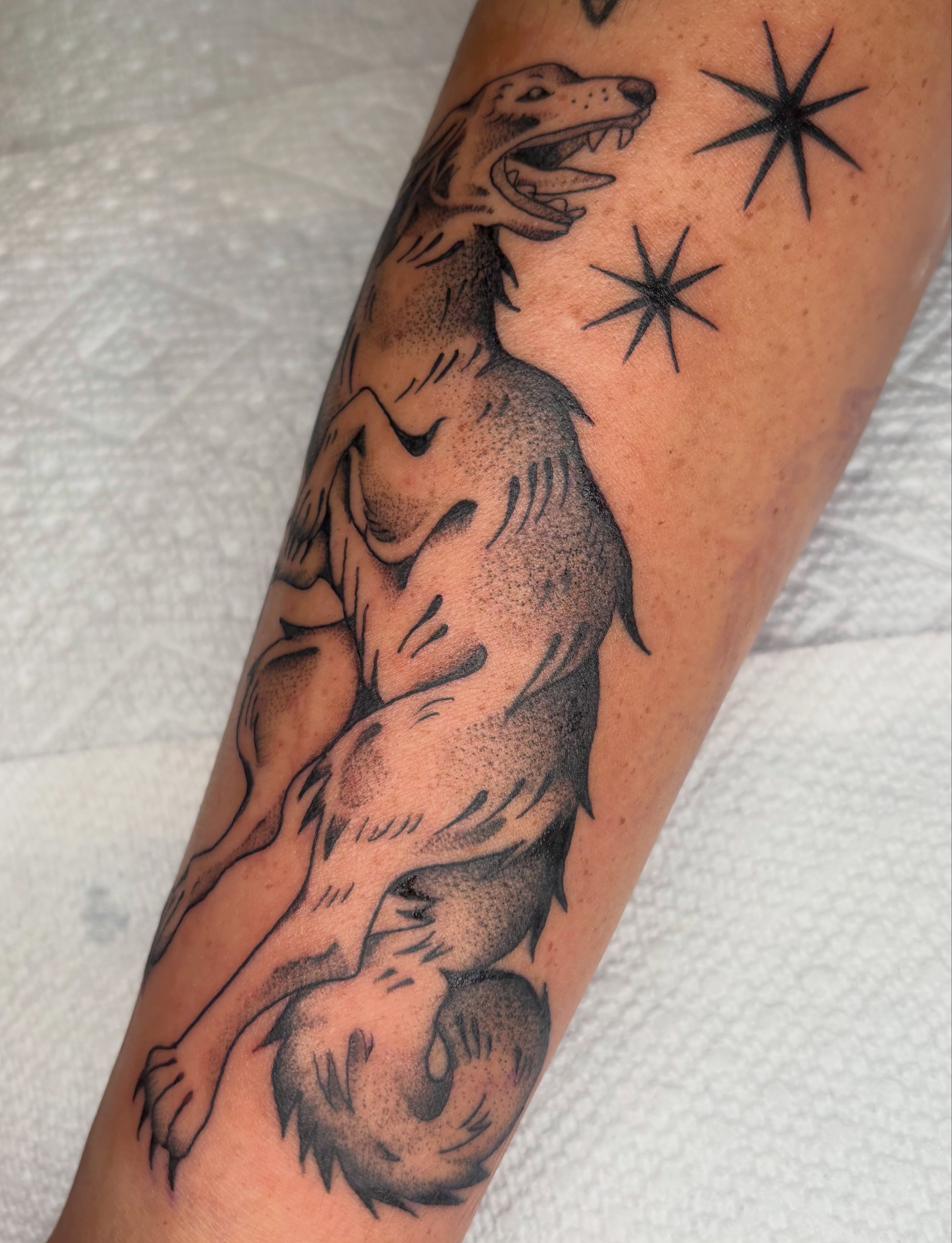 Wolf dotwork tattoo on the forearm by ✨madison✨, Portland, Oregon