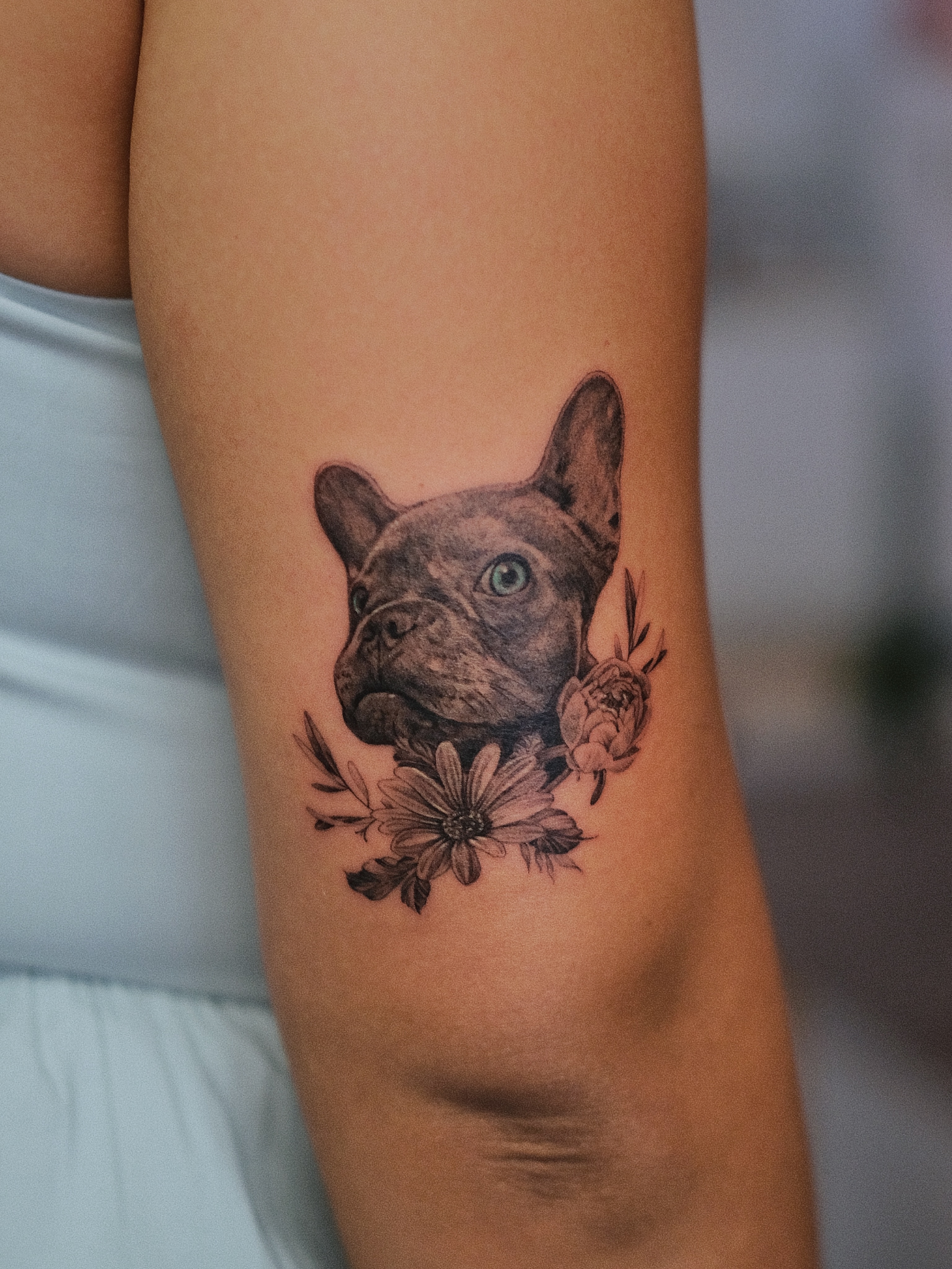 French bulldog realism tattoo on the forearm by Jiemin Lin
