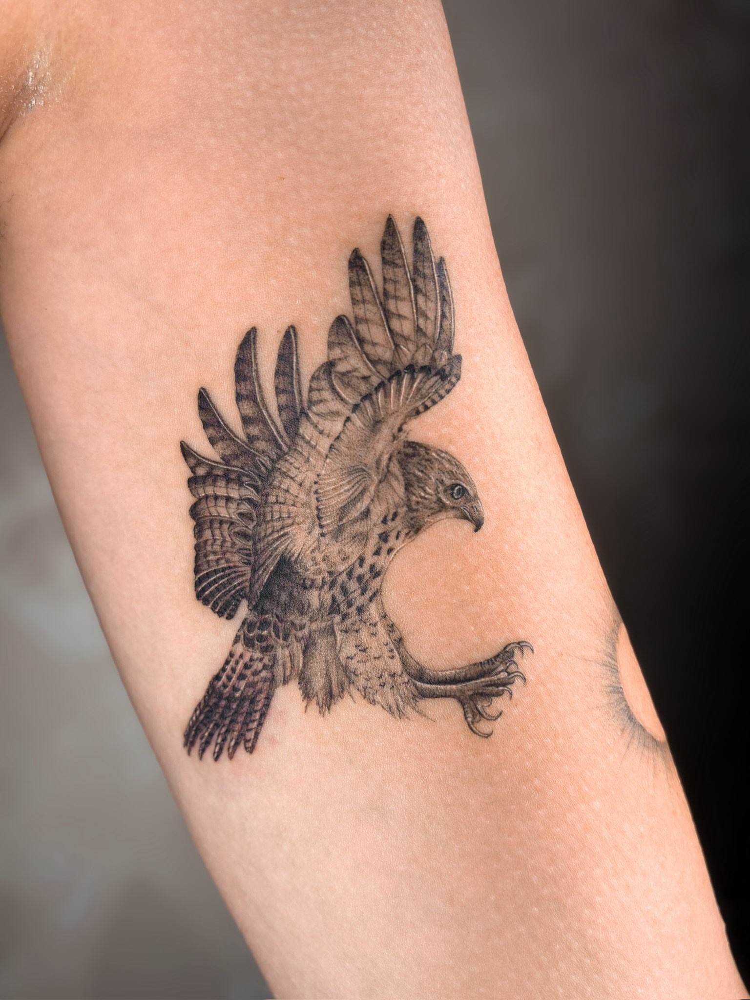 Tattoo by @eudokeotattoo — realism