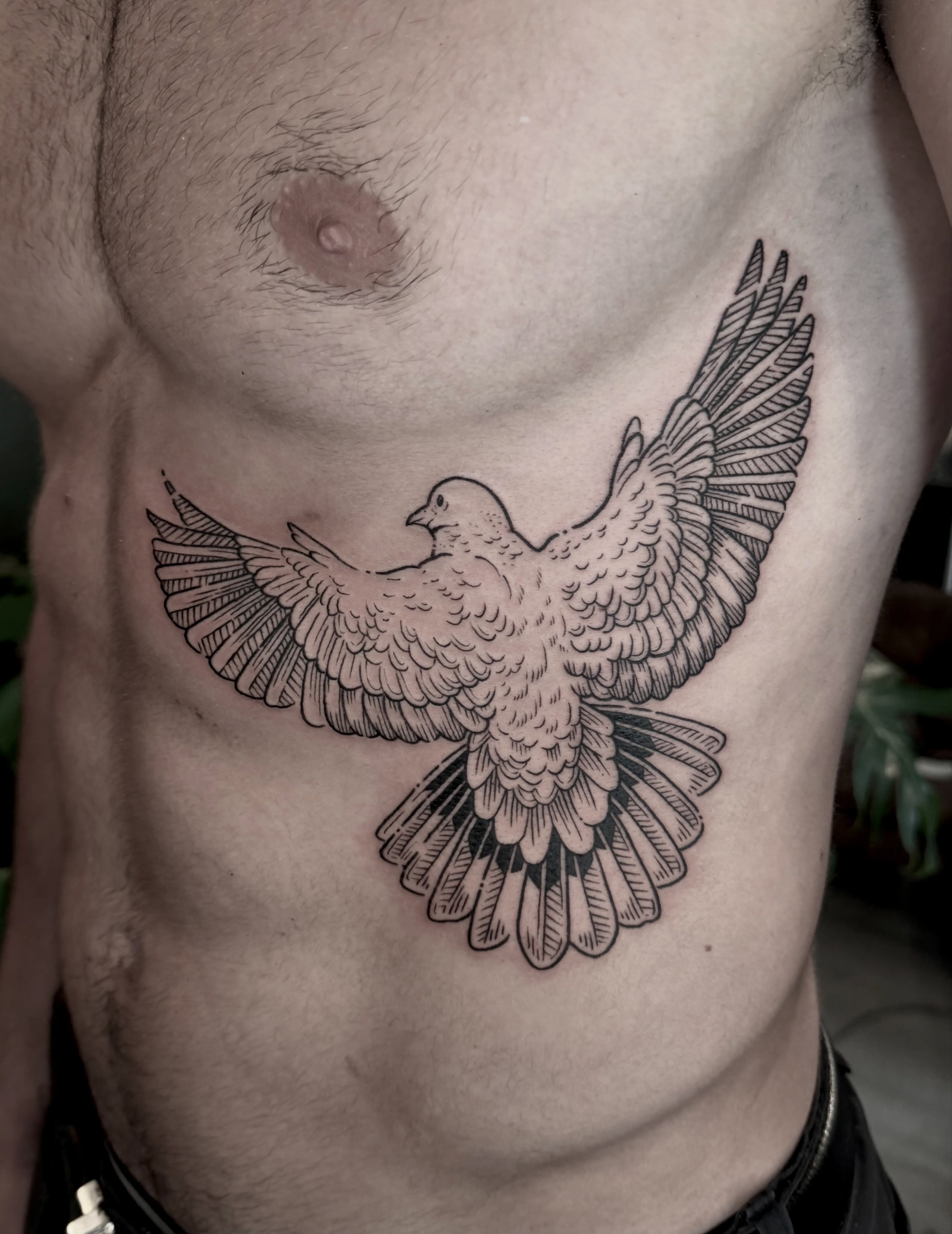 Dove black and grey tattoo on the chest by Hannah May, La Mesa, California