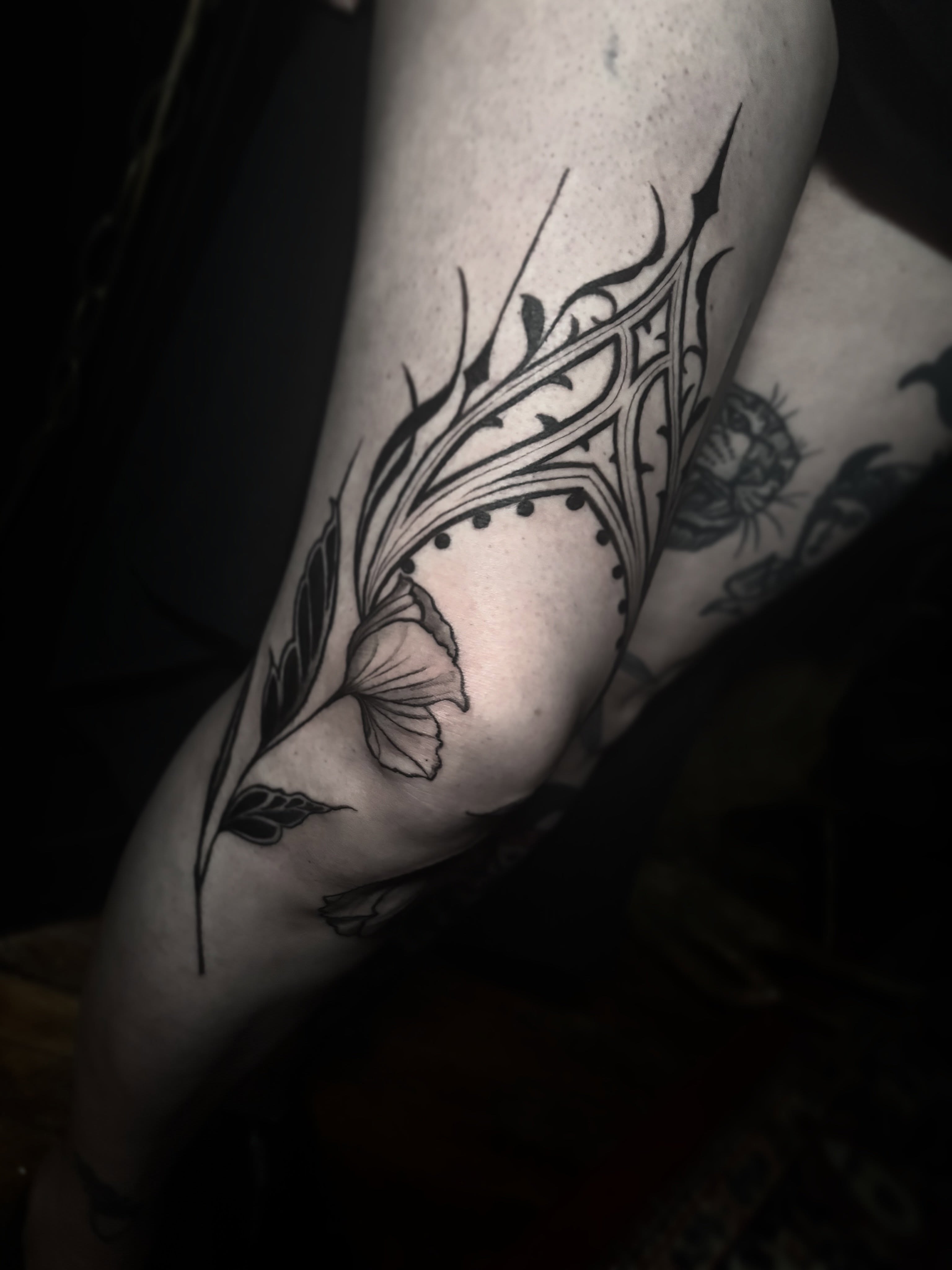 Feather tribal tattoo on the forearm by Cassandra Colleen