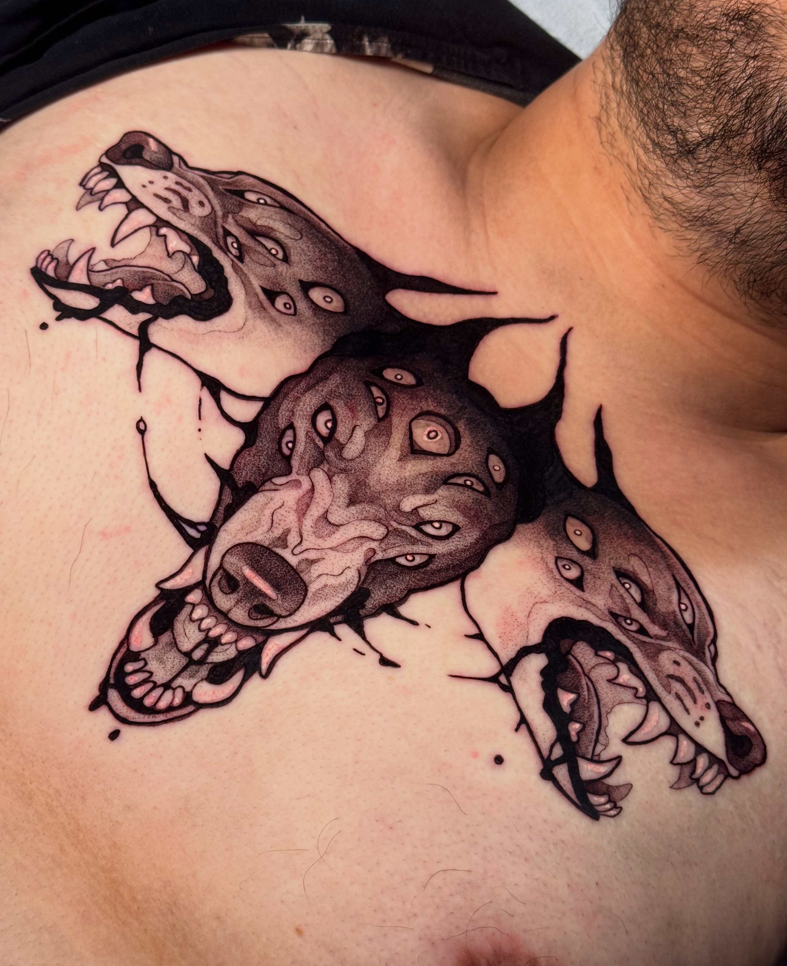 Three-headed dog American traditional tattoo on the chest by Yasemin πΉπ·π¬π§ San Jose based tattoo artist