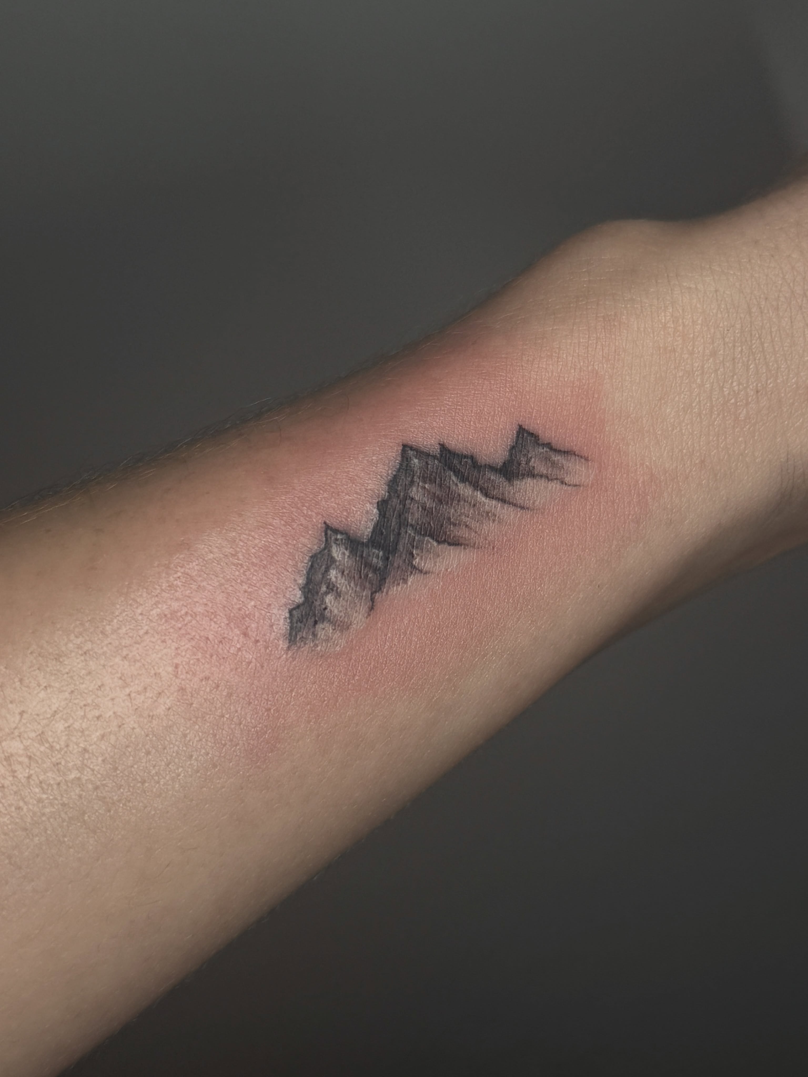 Mountain silhouette black and grey tattoo on the forearm by 「 ✦ Sa-Na ✦ 」DMV TATTOO ARTIST
