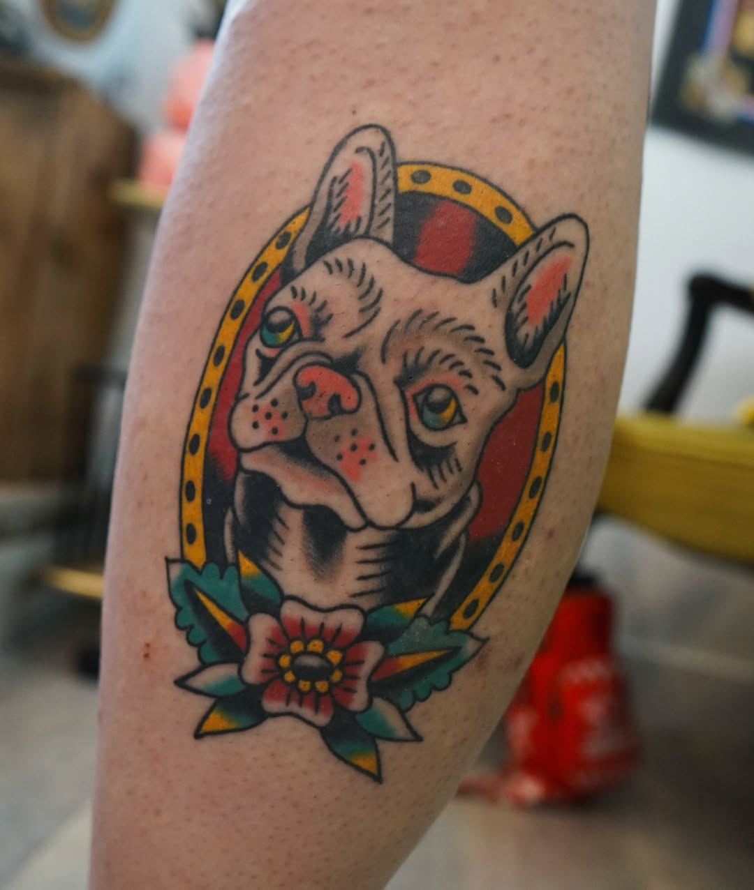 Cat American traditional tattoo on the forearm by Emily Devenz