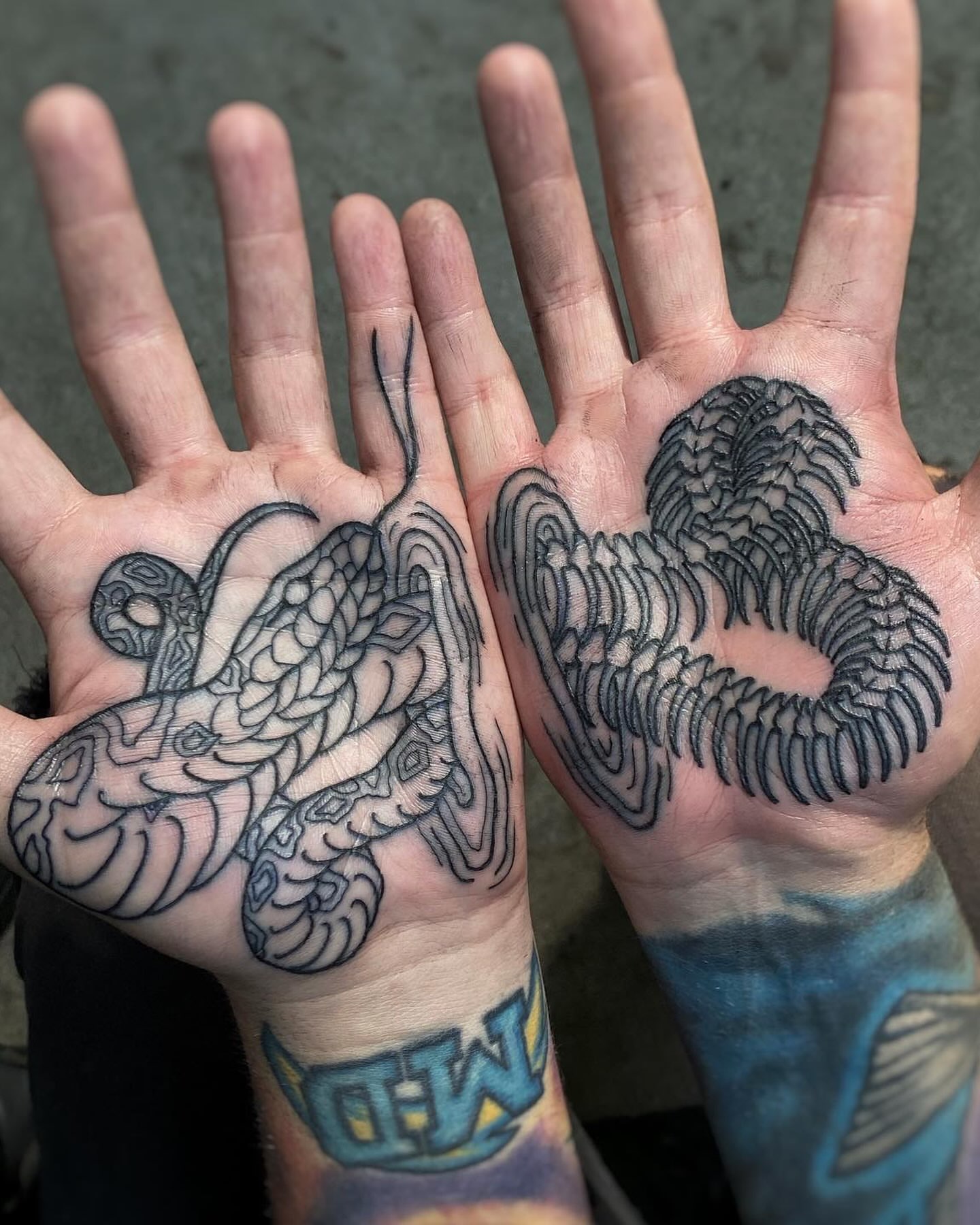 Octopus black and grey tattoo on the hand by Mark Walker
