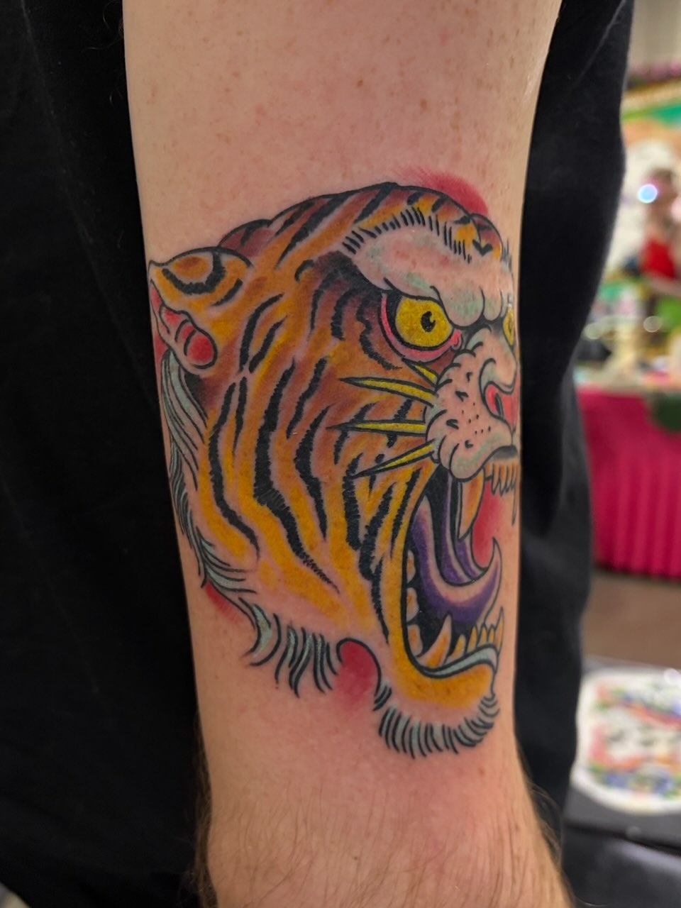 Roaring tiger American traditional tattoo on the forearm by @rayscott_tattoo