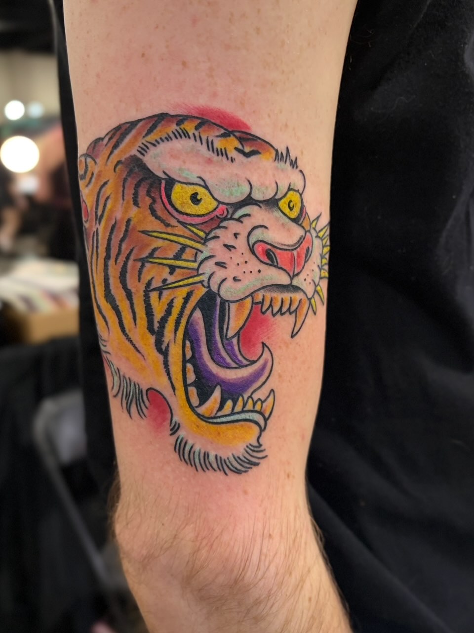 Roaring tiger American traditional tattoo on the forearm by @rayscott_tattoo