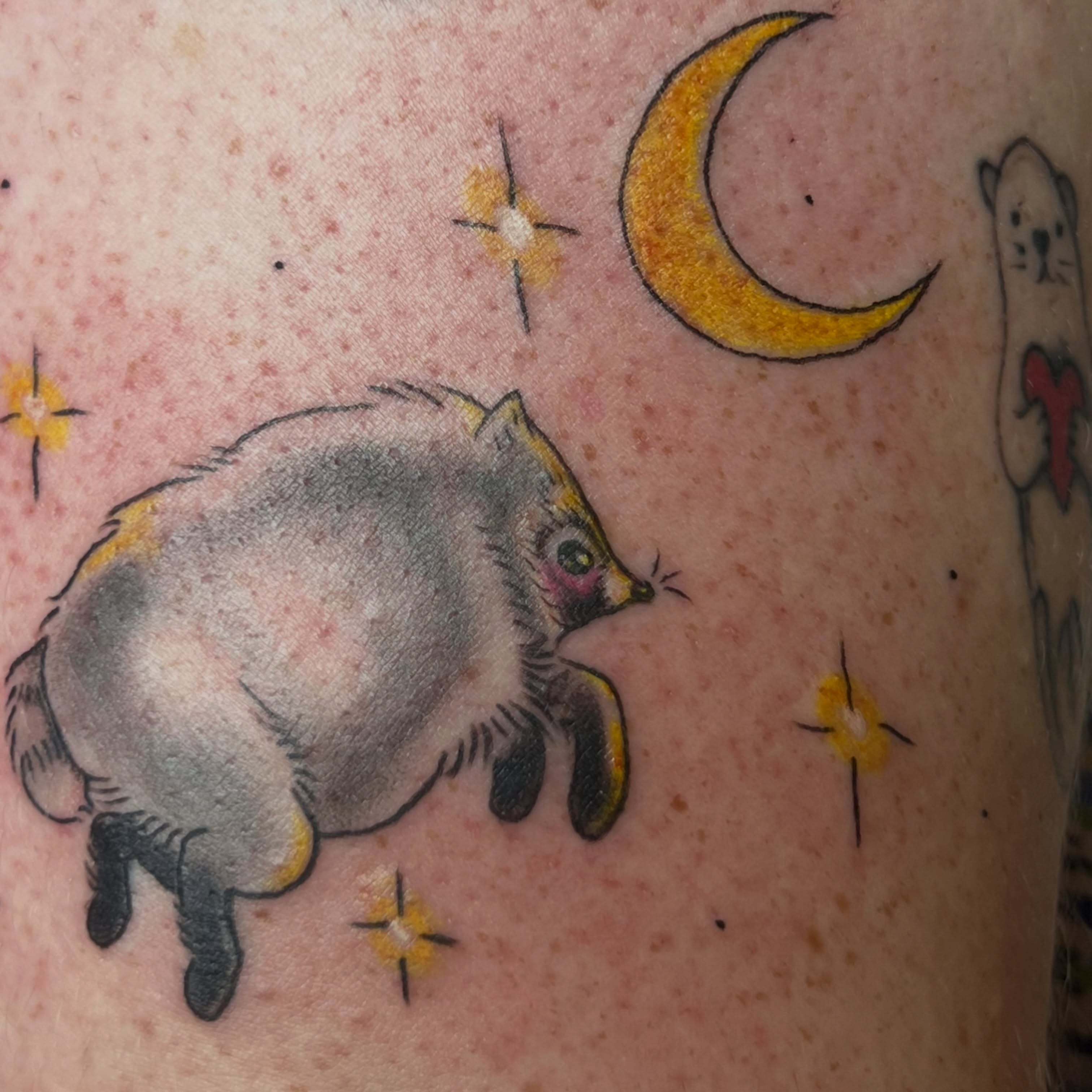 Tattoo by @purrsimmonkitten — american_traditional