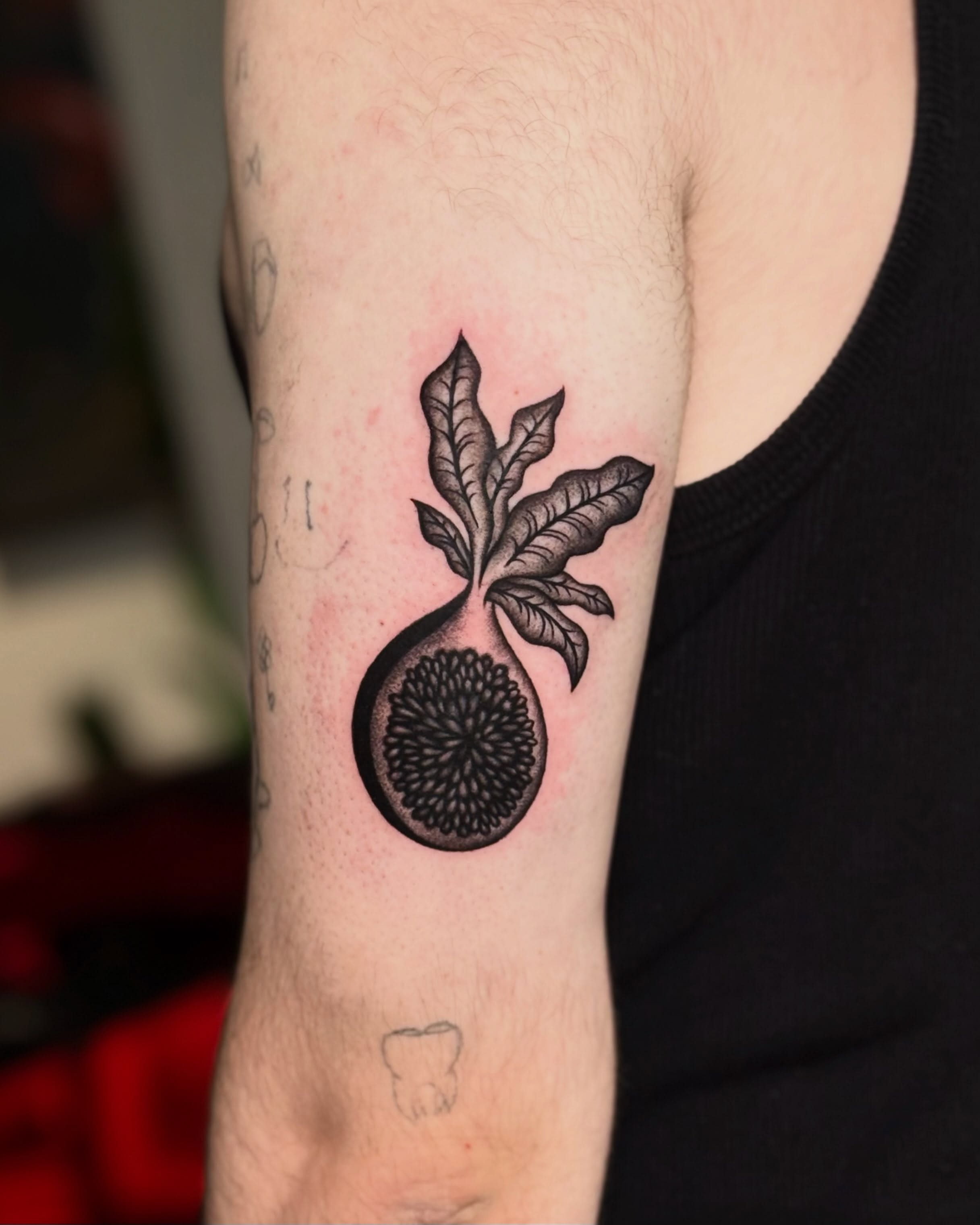 Fig black and grey tattoo on the forearm by Scott!!!