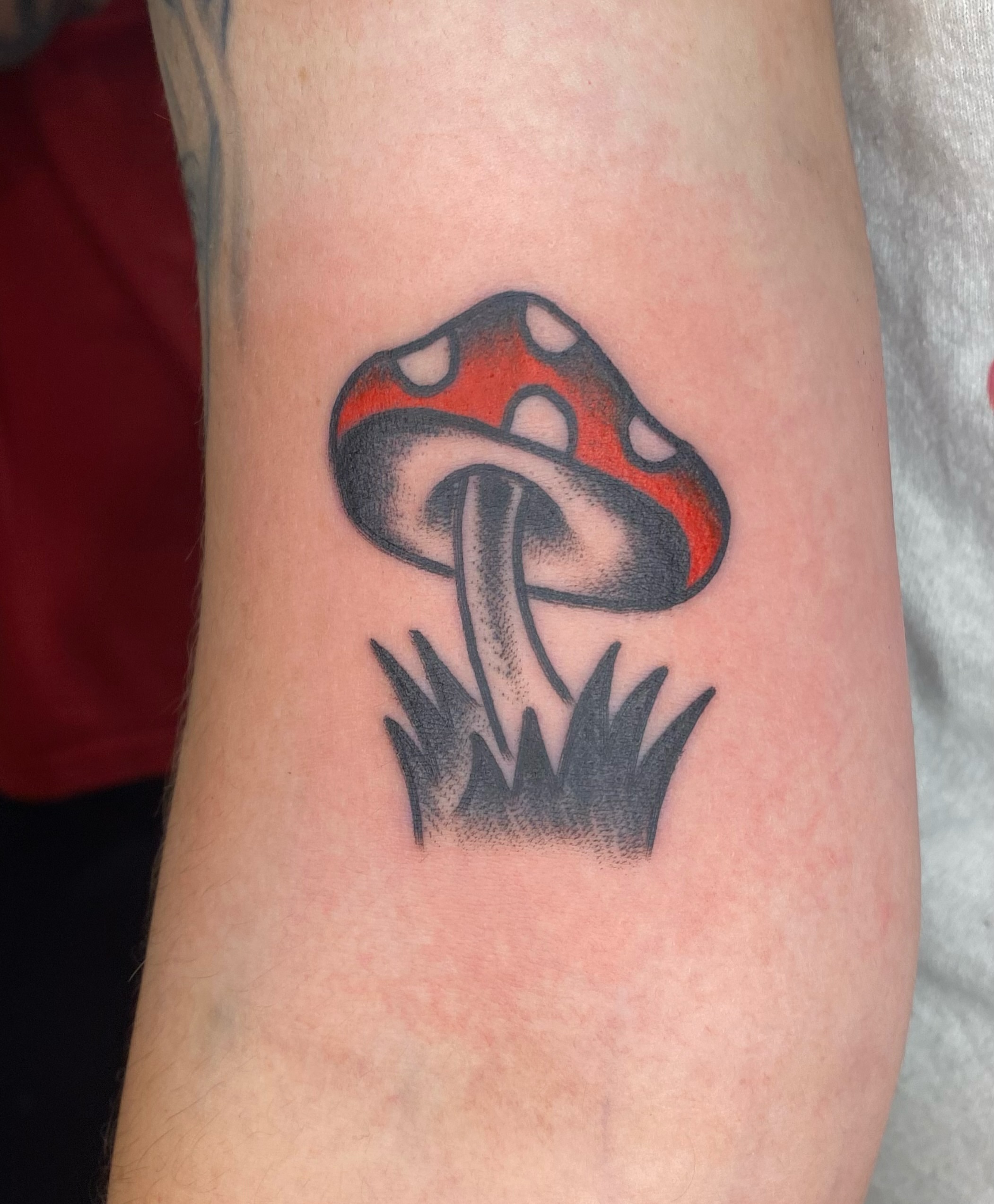 Mushroom dotwork tattoo on the forearm by Jack, Knoxville, Tennessee