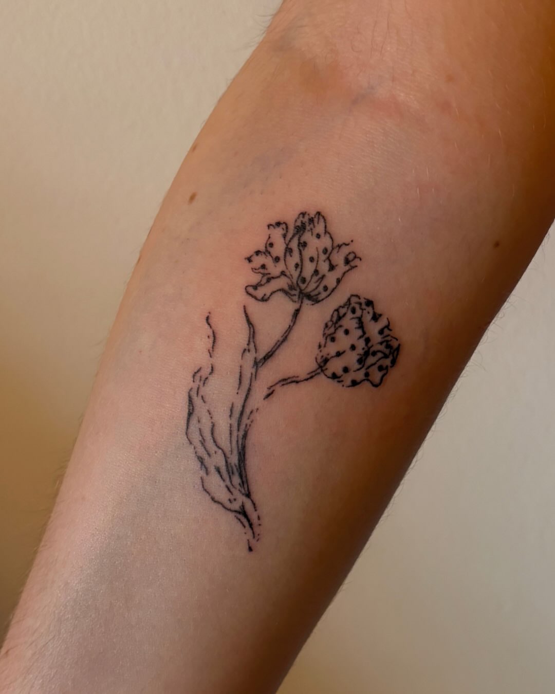 Tattoo by @cupidstunts__ — dotwork