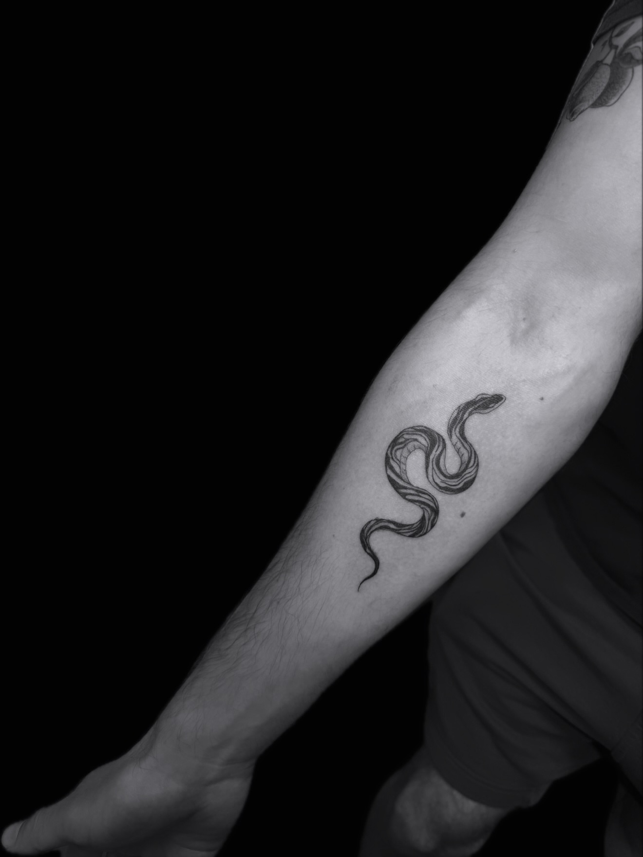 Tattoo by @tiff_for_tatts — black_and_grey