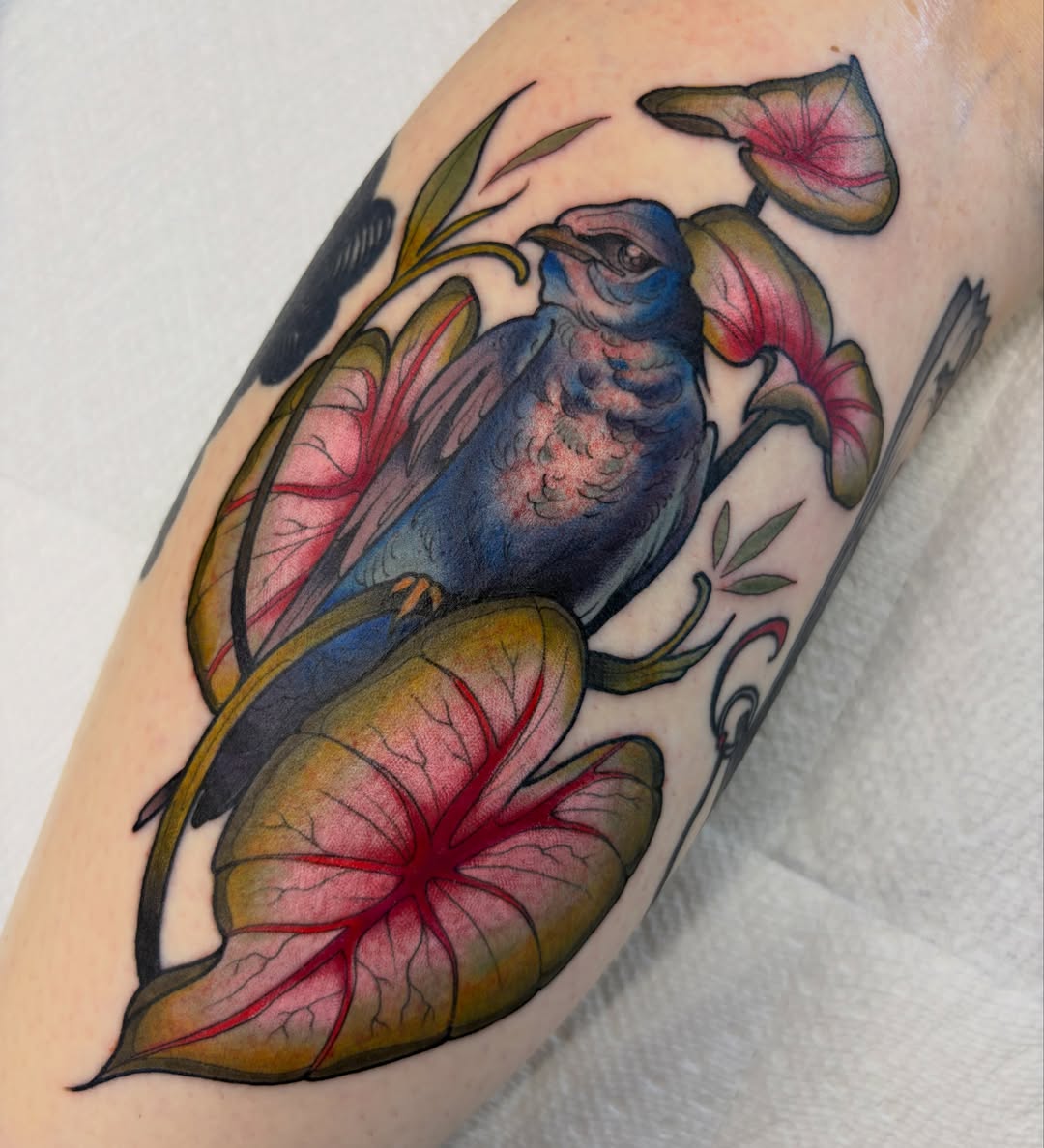 Bird and flowers watercolor tattoo on the forearm by Kayla Fay, Baton Rouge, Louisiana