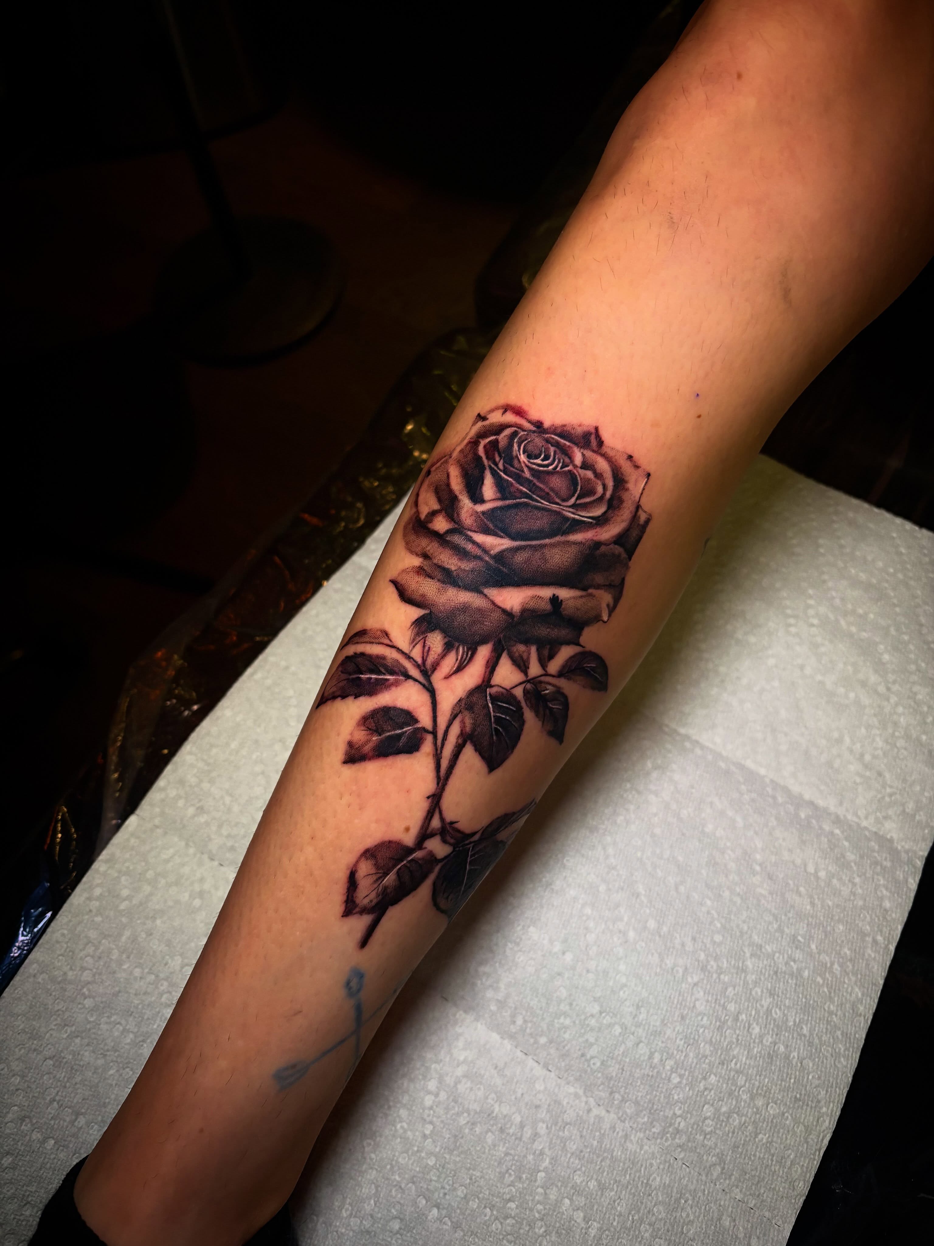 Rose realism tattoo on the forearm by Haley Byers