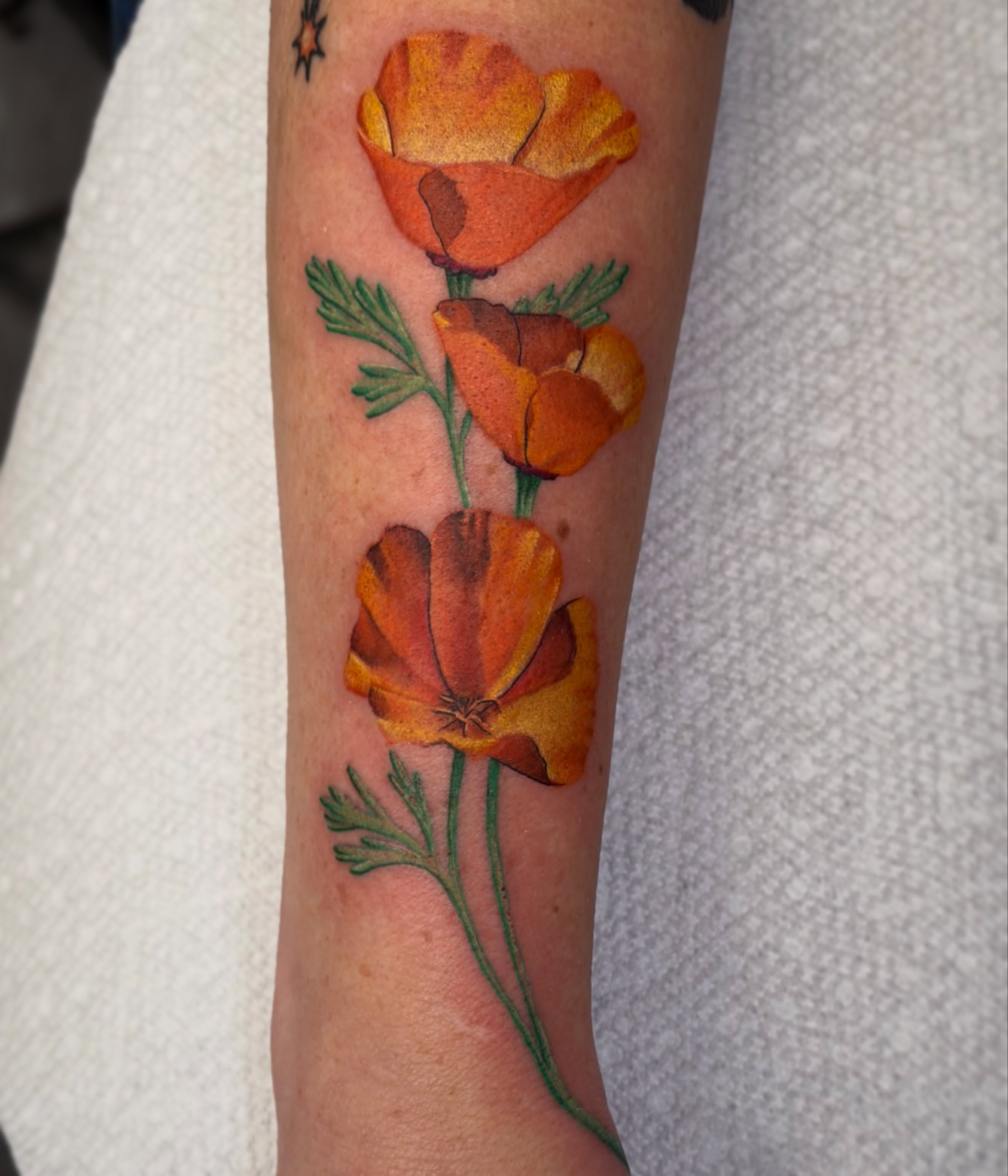 Tattoo by @sethmullintattoos — watercolor