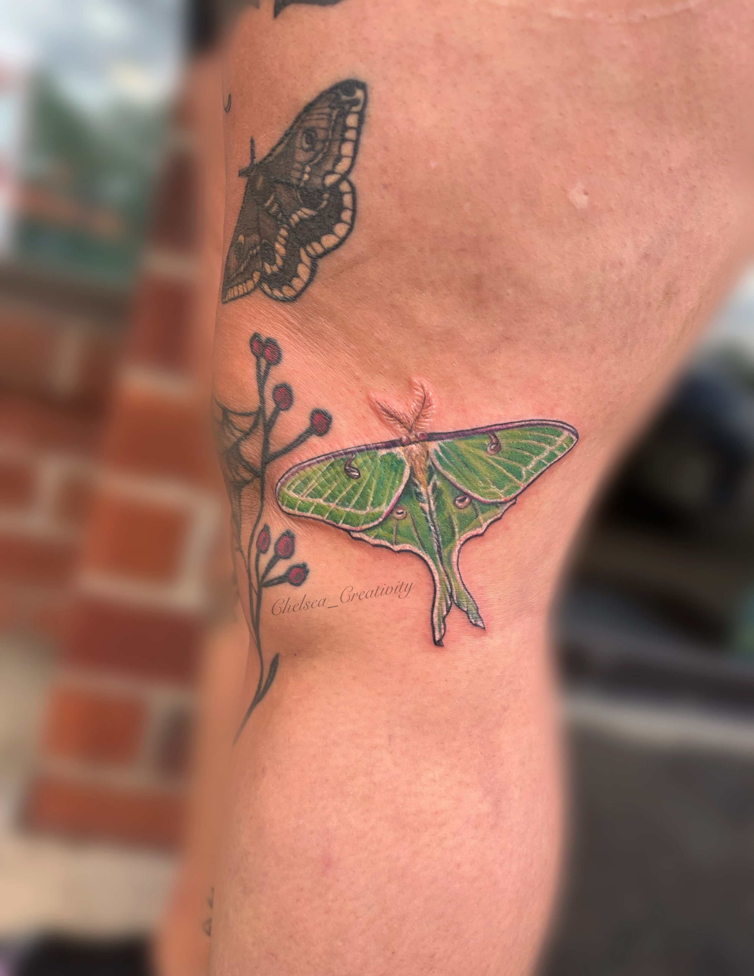 Green luna moth realism tattoo on the forearm by Chelsea Nichole