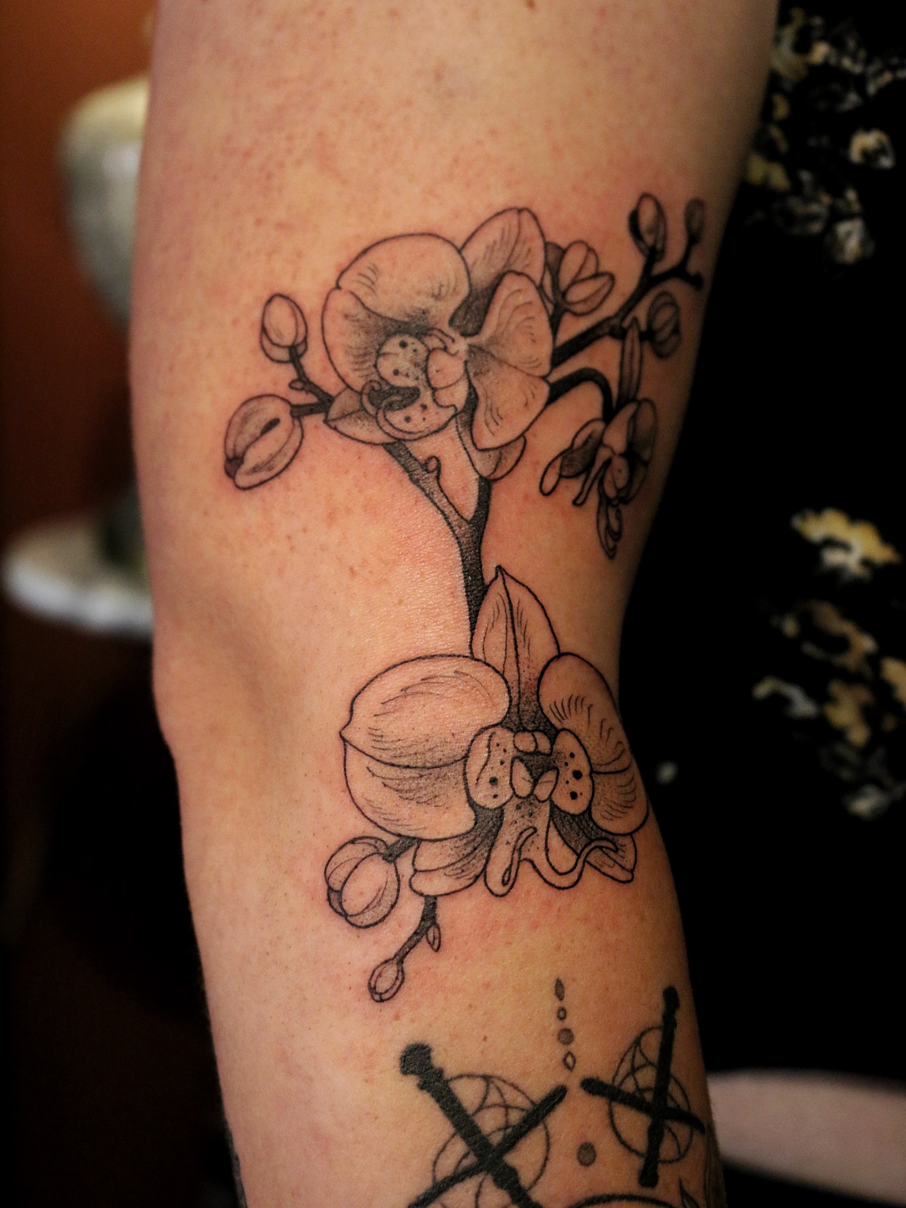 Orchid black and grey tattoo on the forearm by Summer Balcom M.