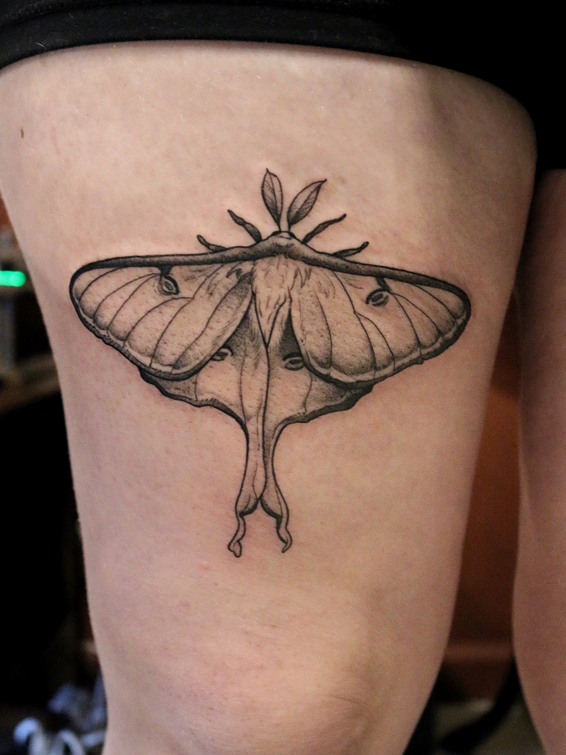 Tattoo by @summerbee_tattoo — black_and_grey