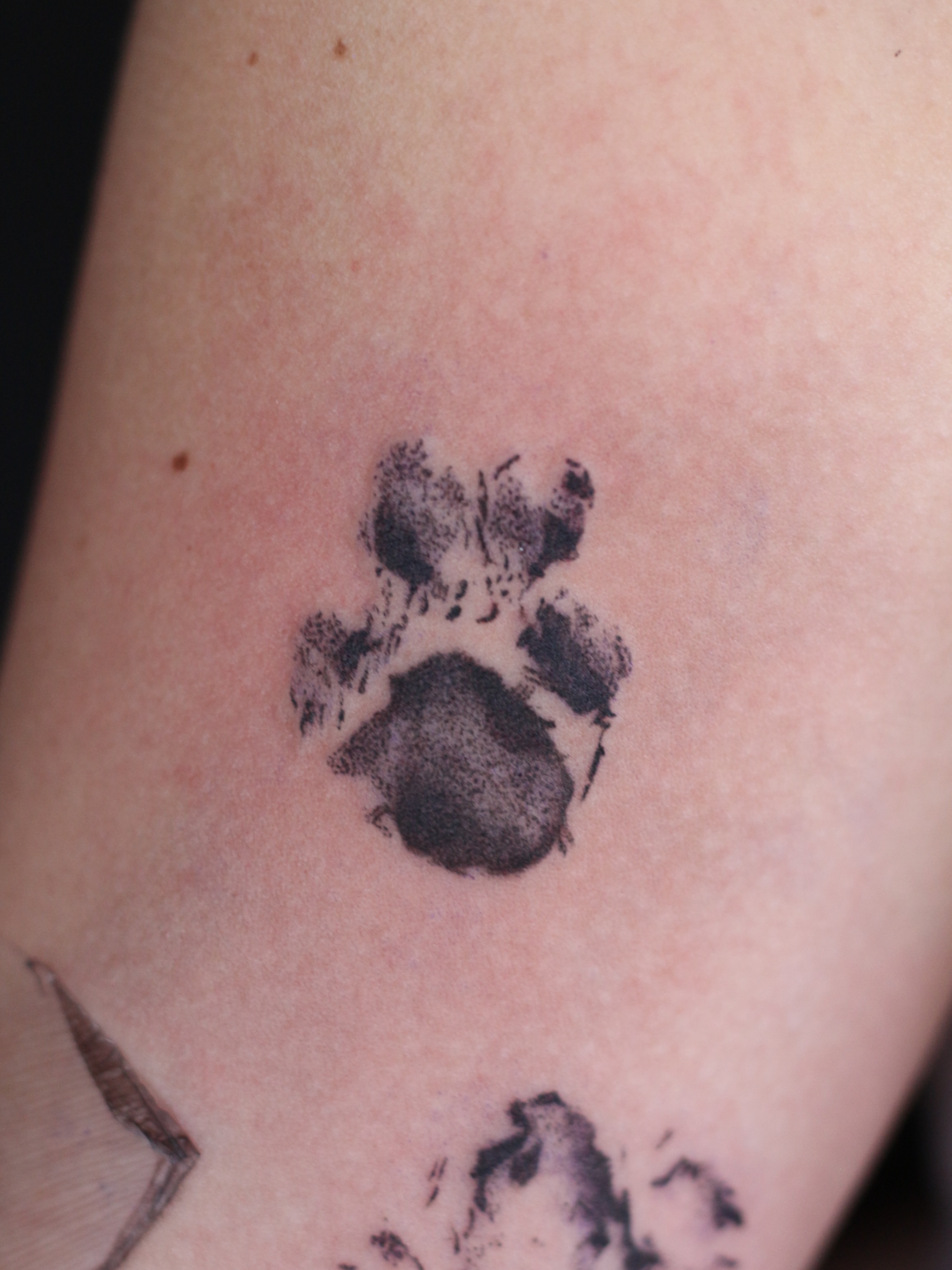 Tattoo by @stephsta2s — dotwork