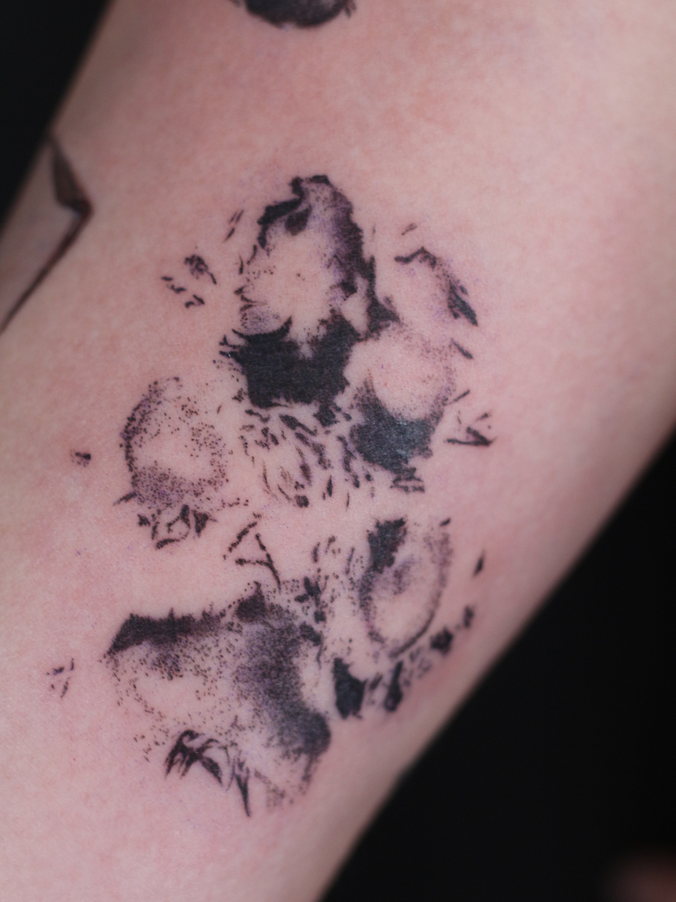Tattoo by @stephsta2s — dotwork