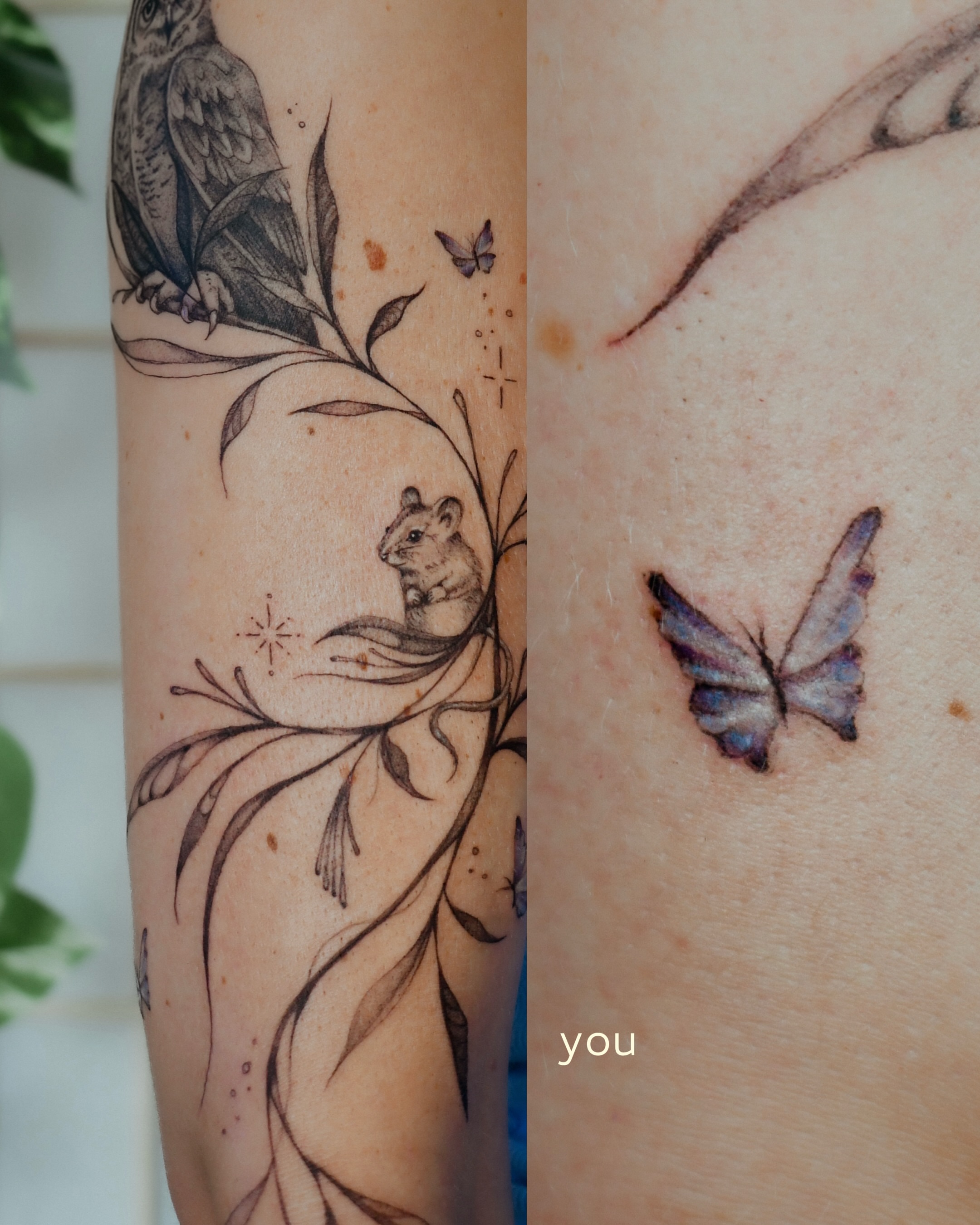 Bird and butterfly black and grey tattoo on the forearm by 𝐇𝐚𝐫𝐩𝐞𝐫