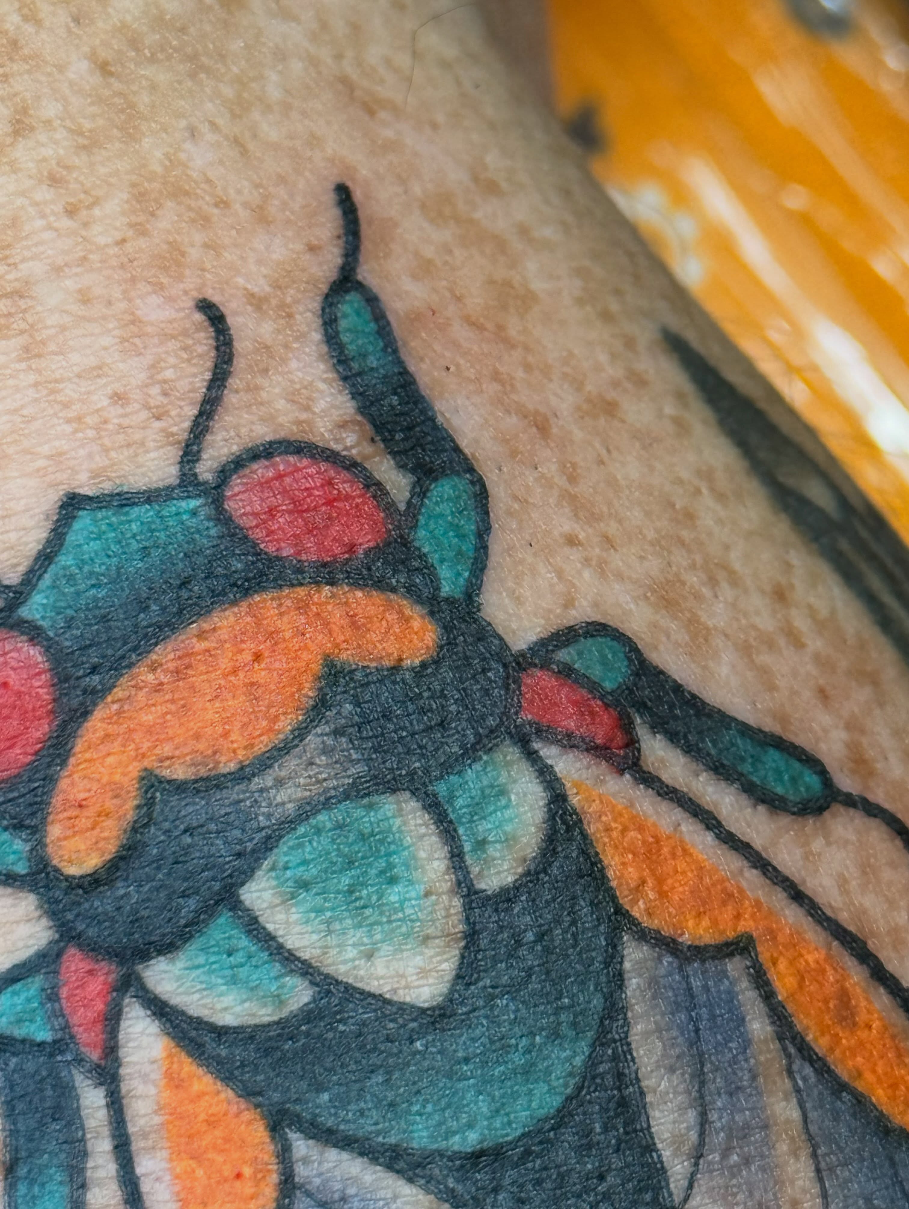 Tattoo by @meg.cant.tat — american_traditional