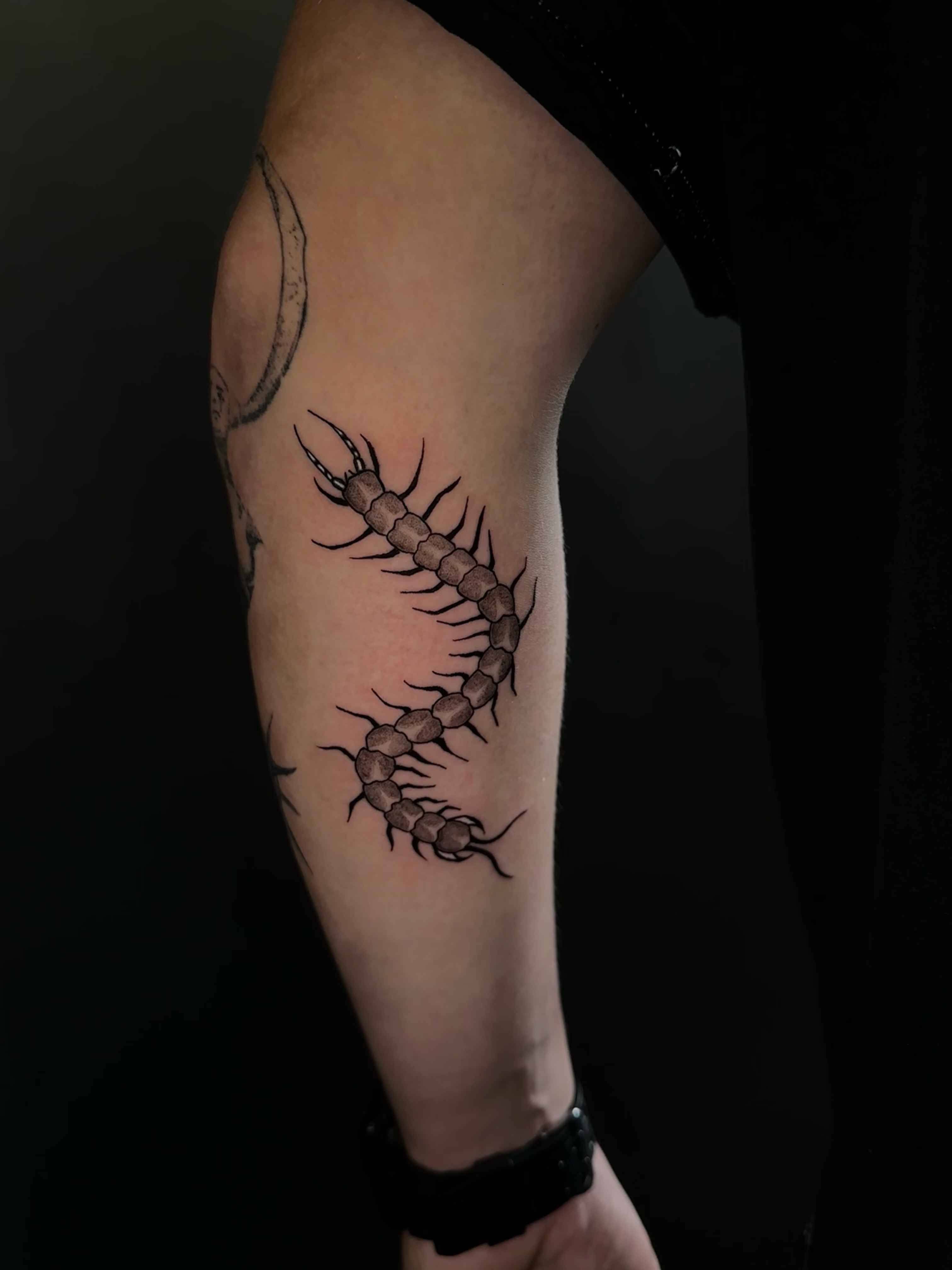 Centipede black and grey tattoo on the forearm by Cherry Tats🍒