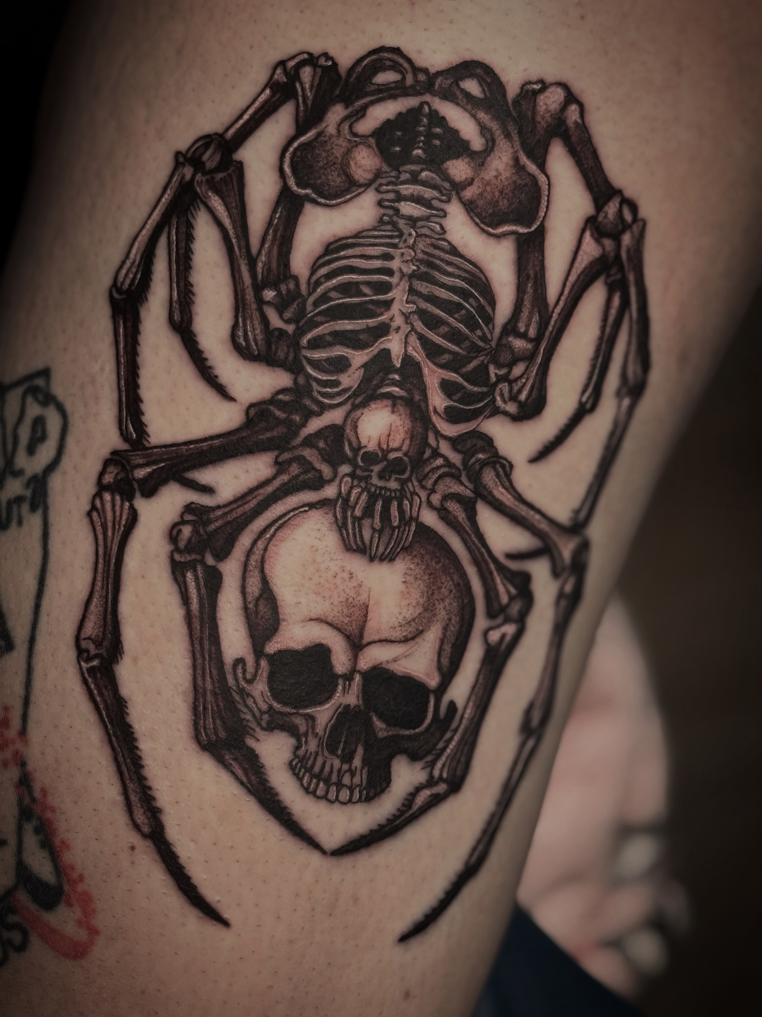 Skeleton spider realism tattoo on the thigh by Kaylee Castleton, Tooele, Utah