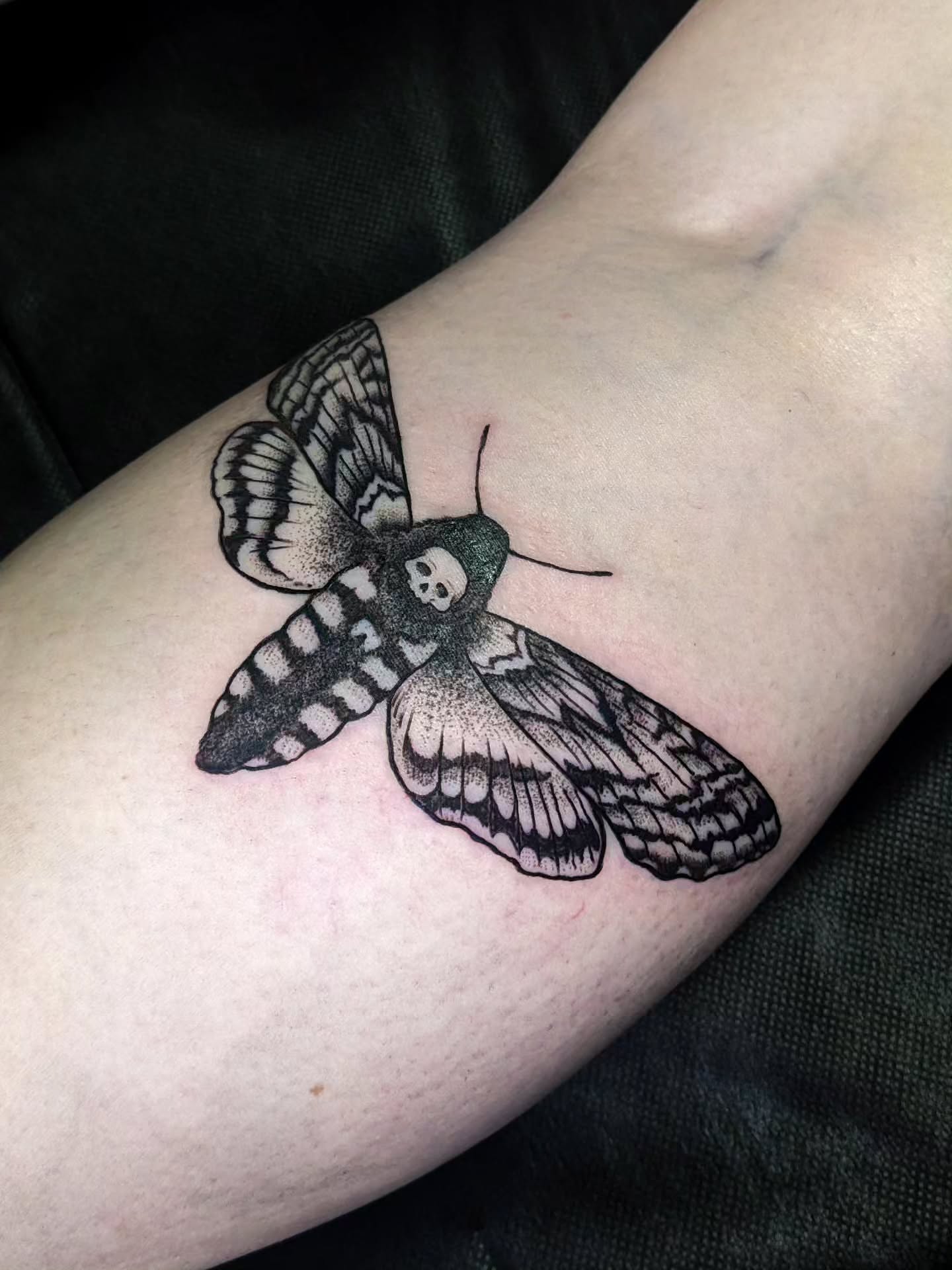 Moth dotwork tattoo on the forearm by robin ✨ portland tattoo artist