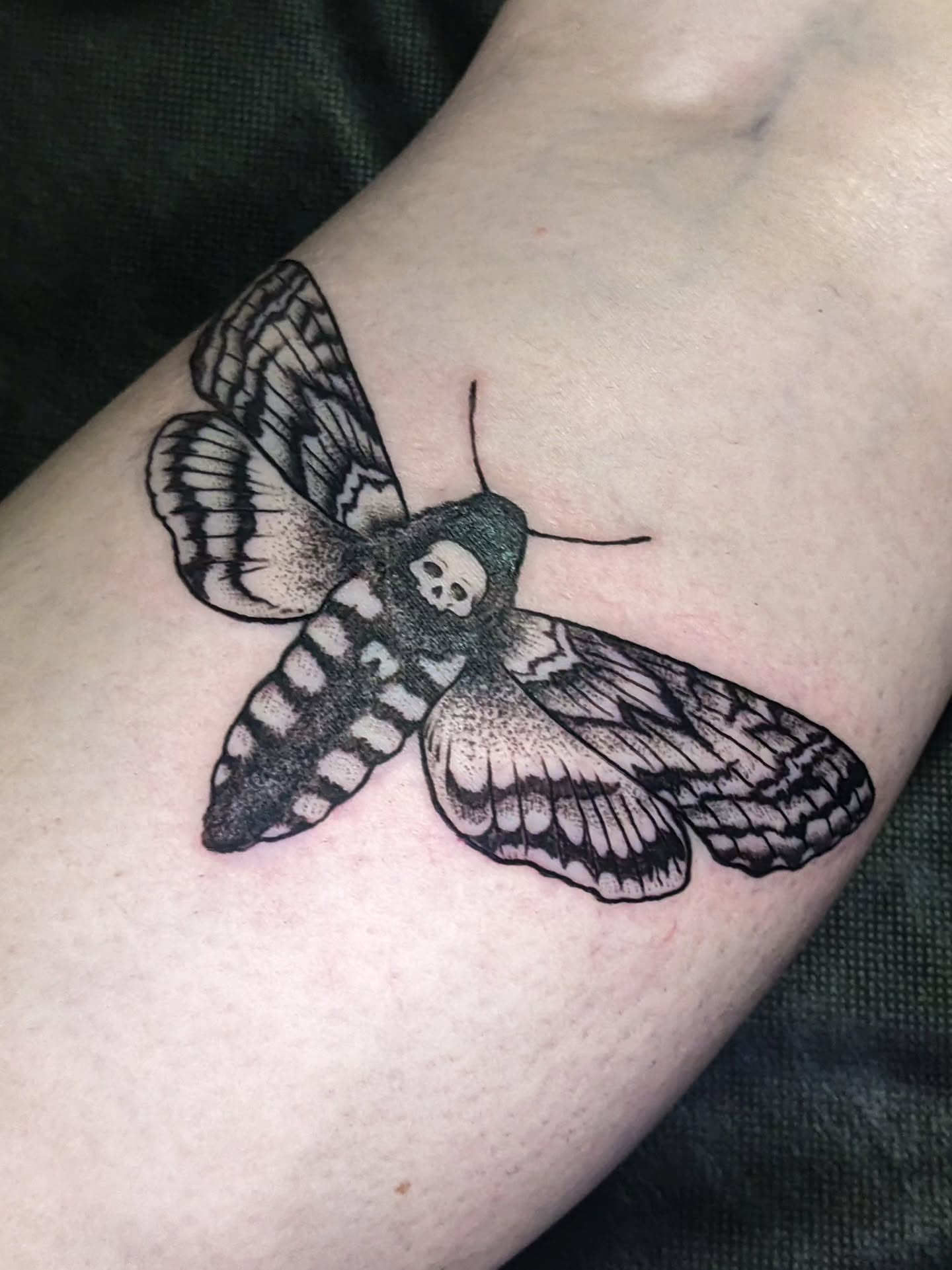 Moth with skull black and grey tattoo on the forearm by robin ✨ portland tattoo artist
