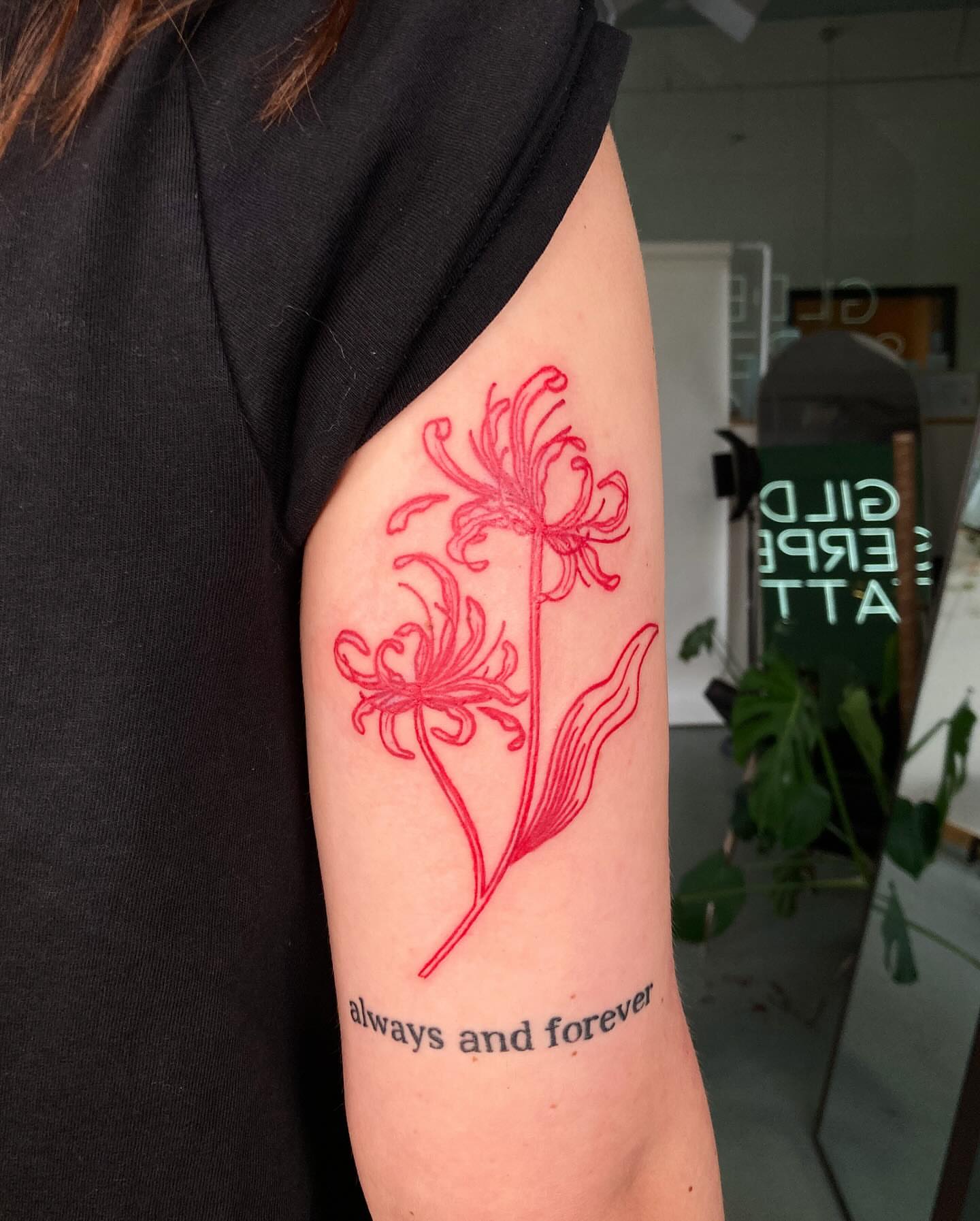 Chrysanthemum fine line tattoo on the forearm by james <3