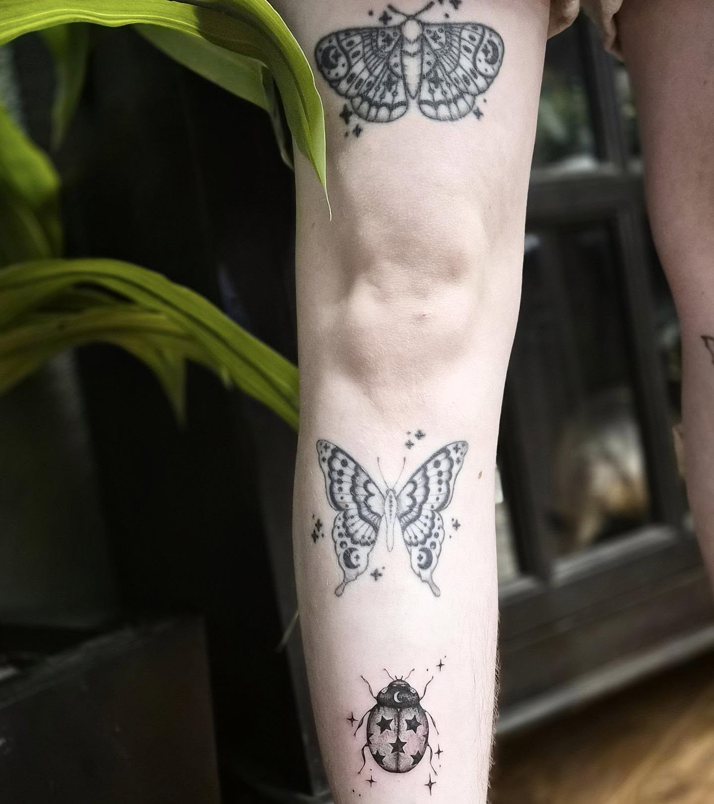 Tattoo by @teresarosetattoos โ dotwork, black_and_grey