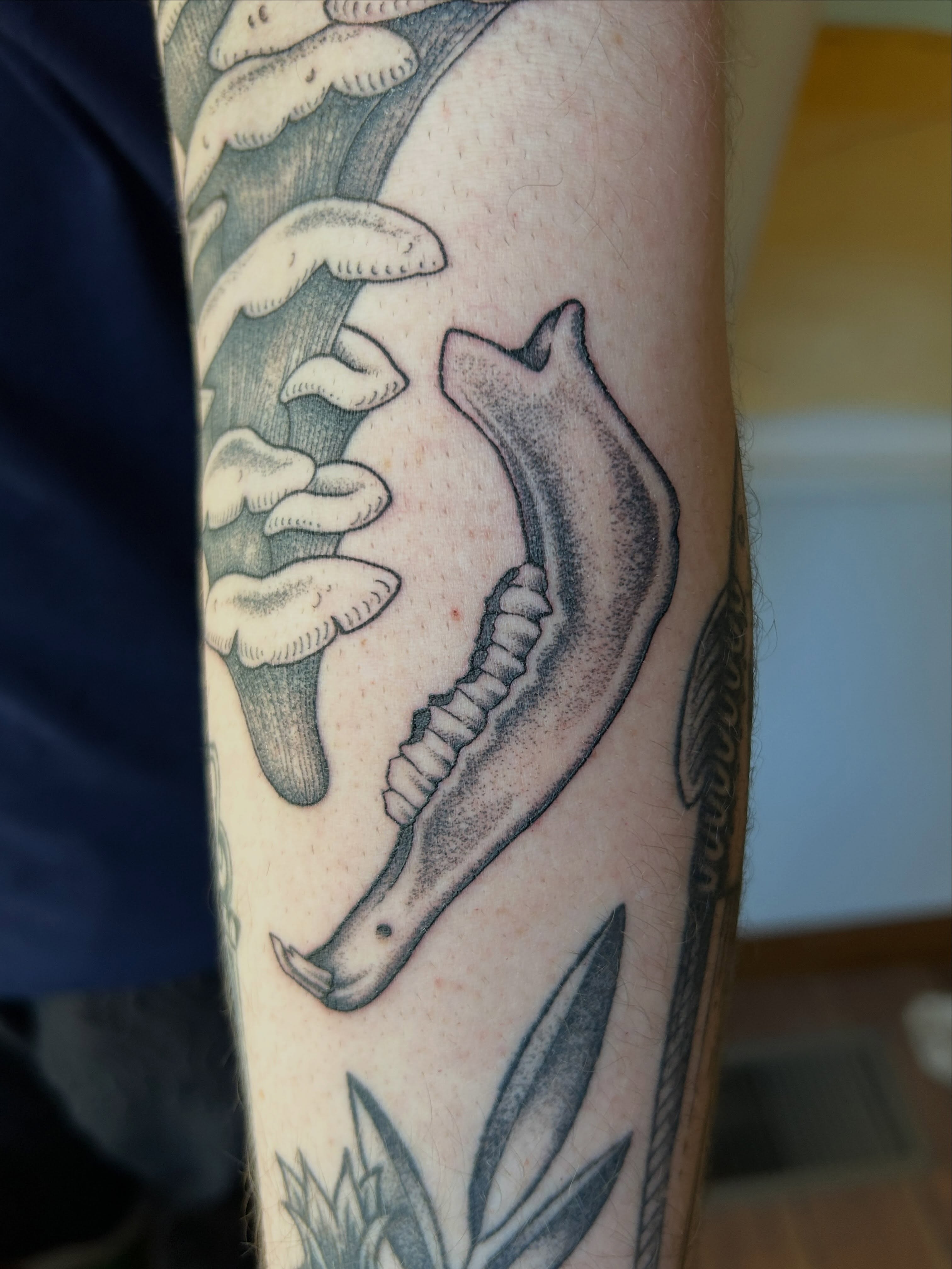 Mushroom and snake dotwork tattoo on the forearm by Janelle McCarthy
