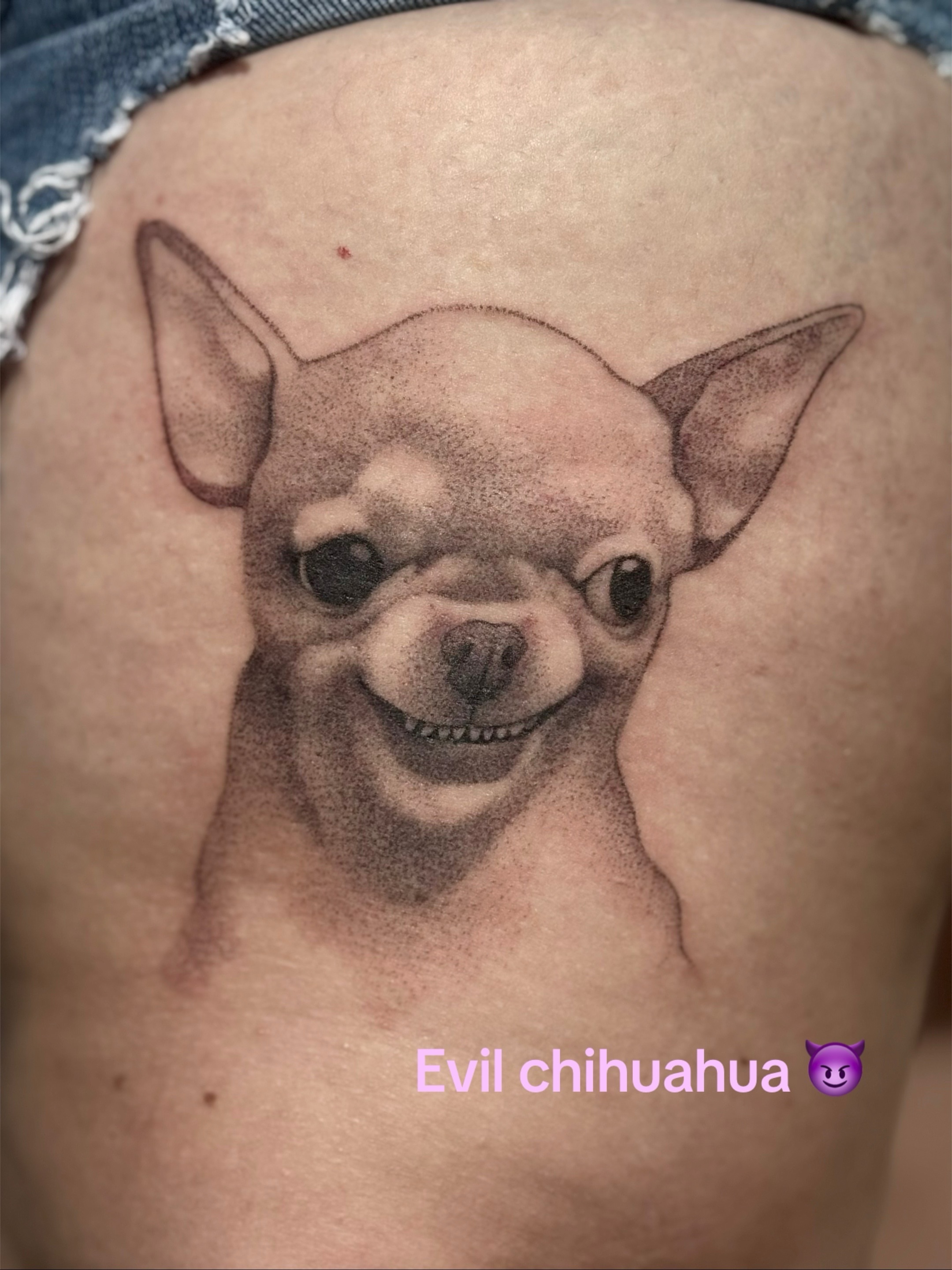 Chihuahua dotwork tattoo on the thigh by Leti
