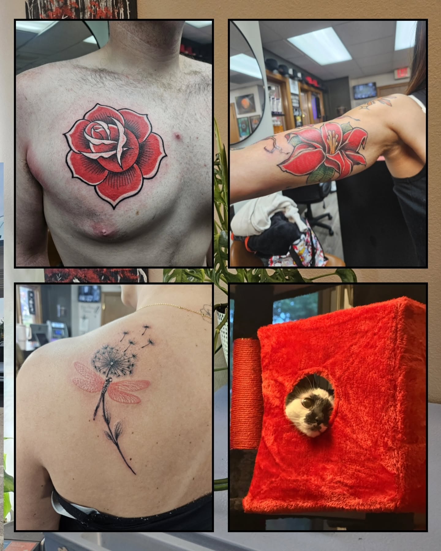 Red rose American traditional tattoo on the chest by Damian Eames
