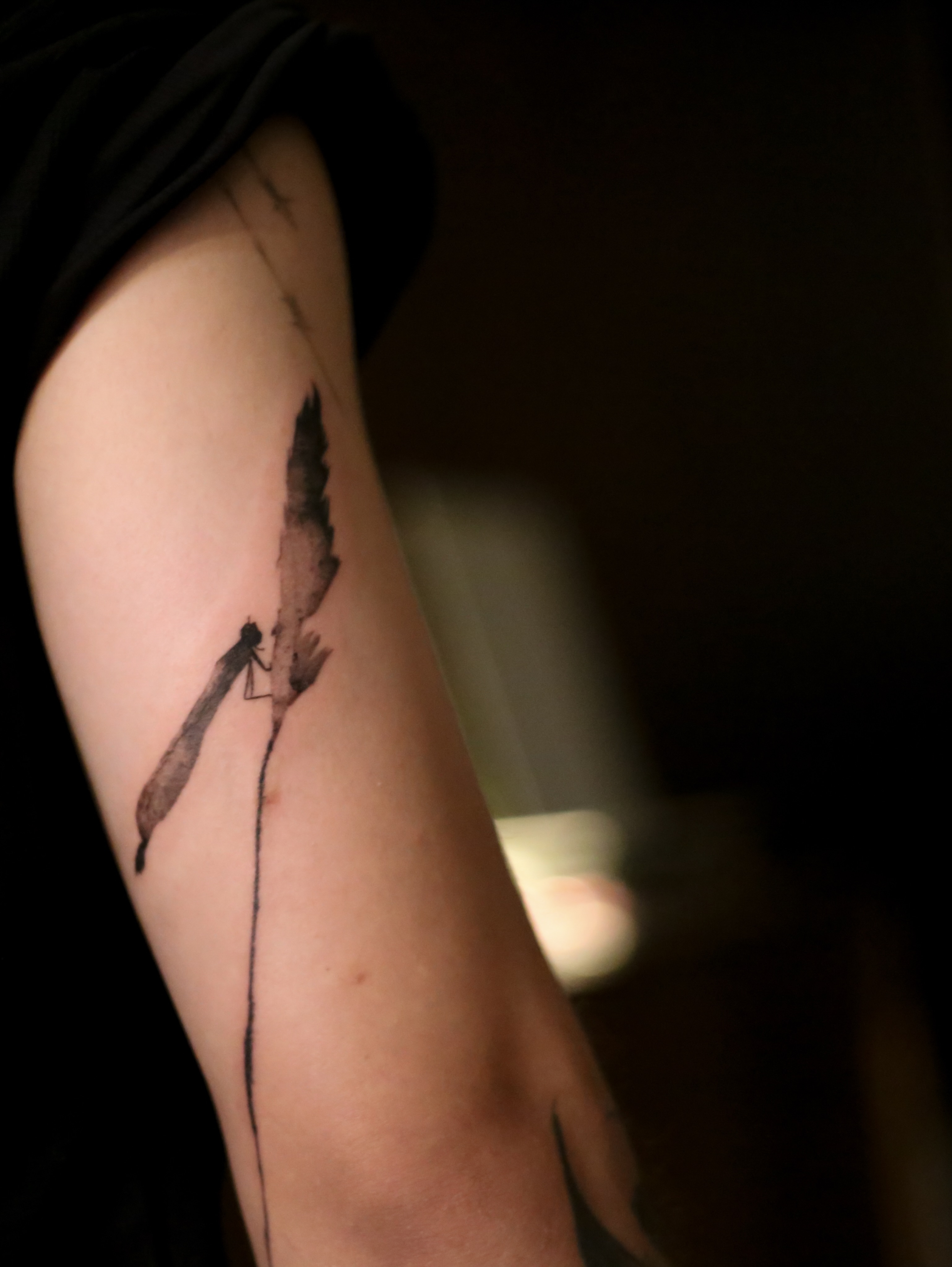 Feather and insect minimalist tattoo on the upper arm by Blight