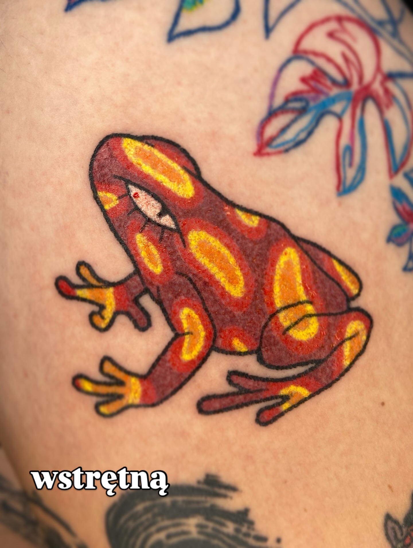 Red dart frog American traditional tattoo on the thigh by Kasia ✨jedyny taki handpoke w katowicach✨