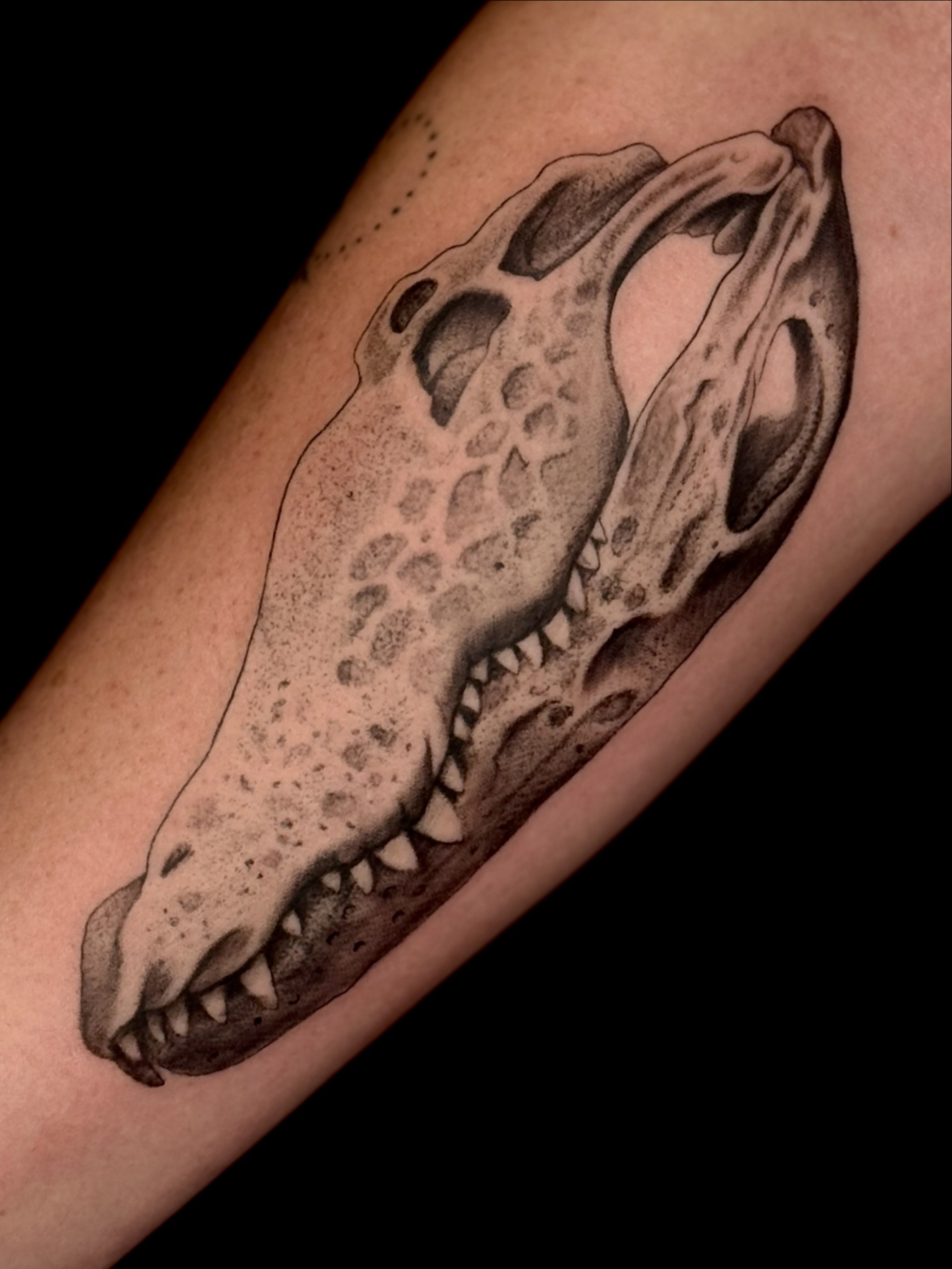 Alligator skull realism tattoo on the forearm by Cody Glenn