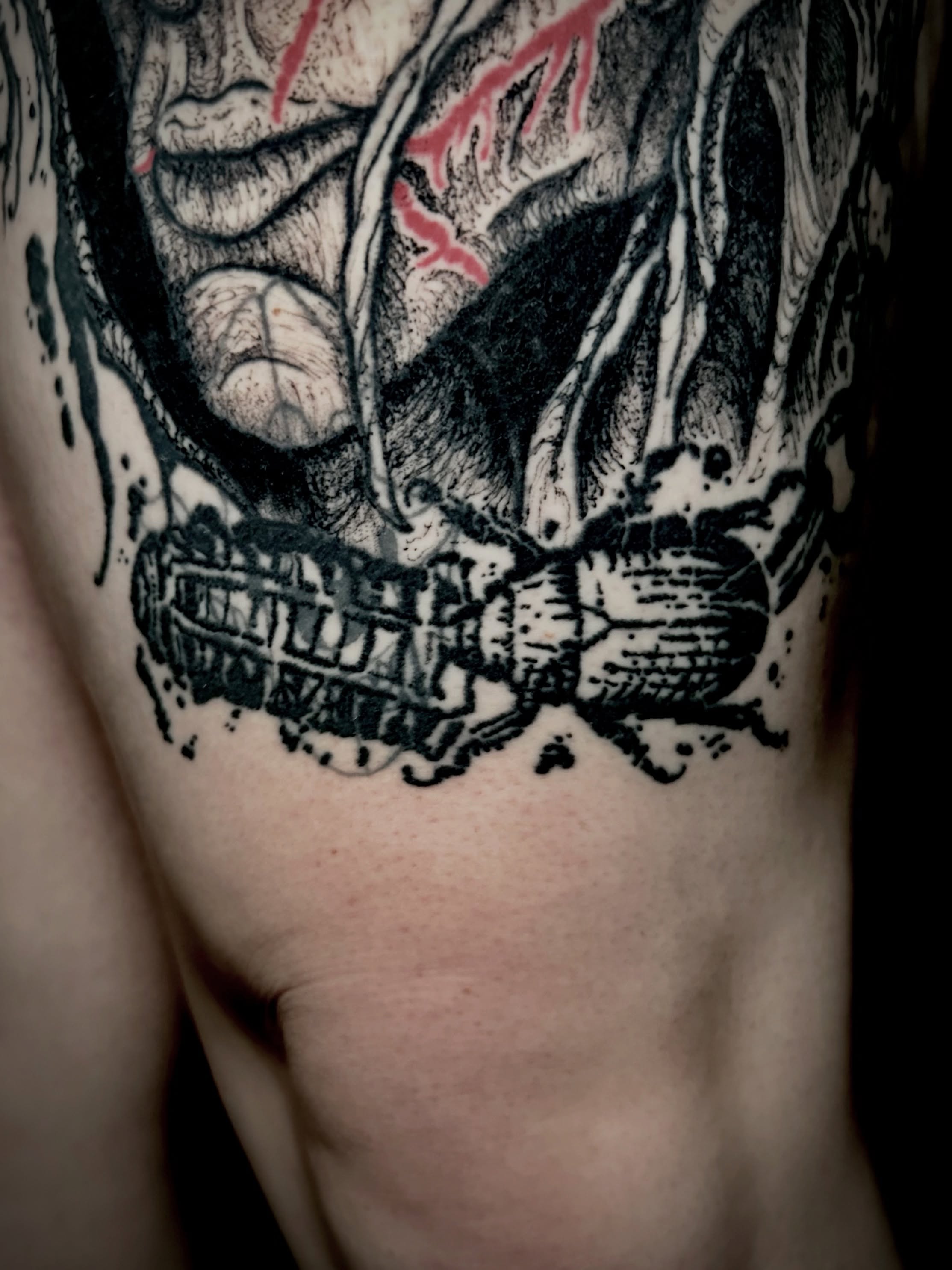 Skull realism tattoo on the chest by Noah Durany