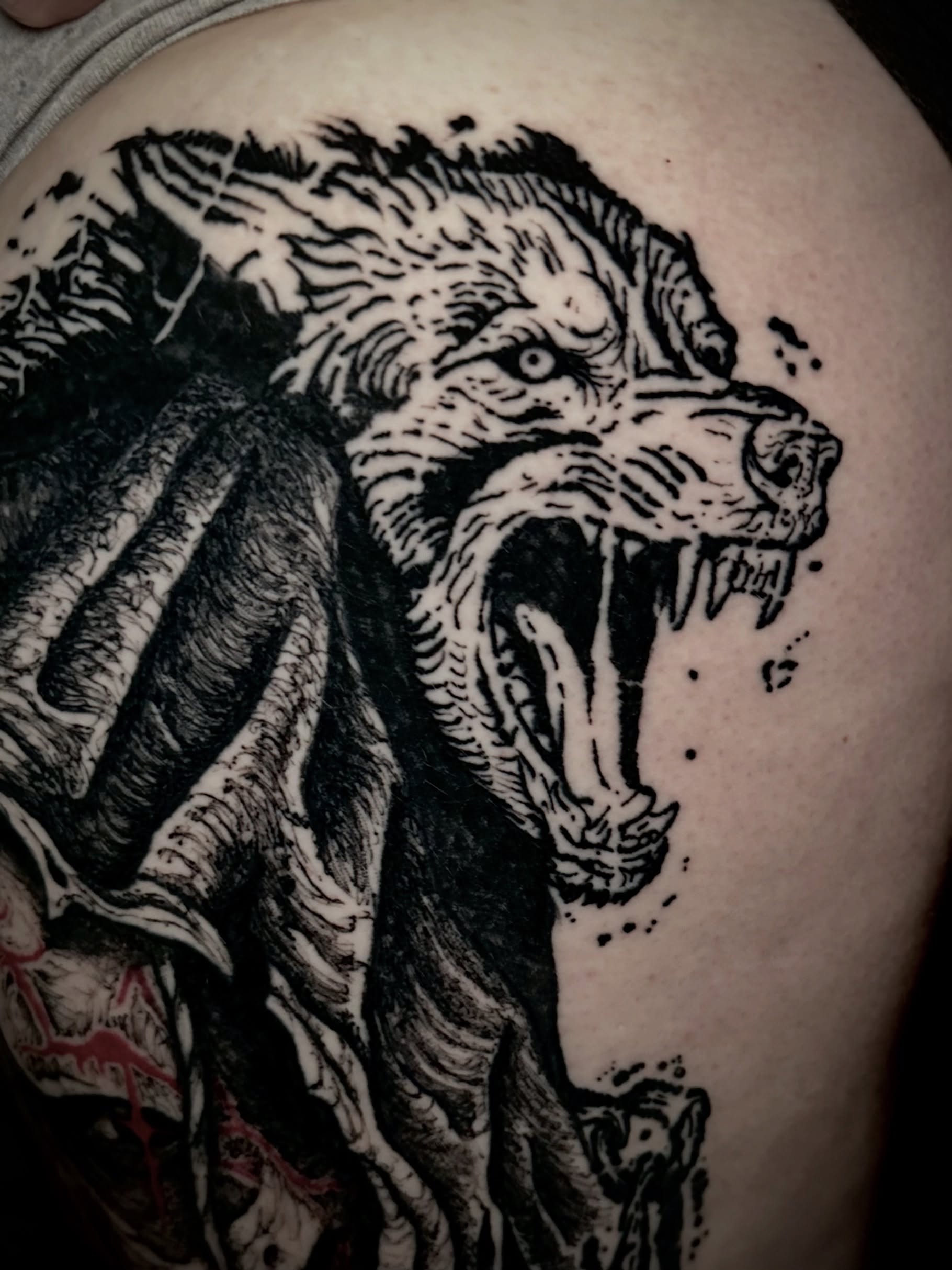Wolf black and grey tattoo on the shoulder by Noah Durany